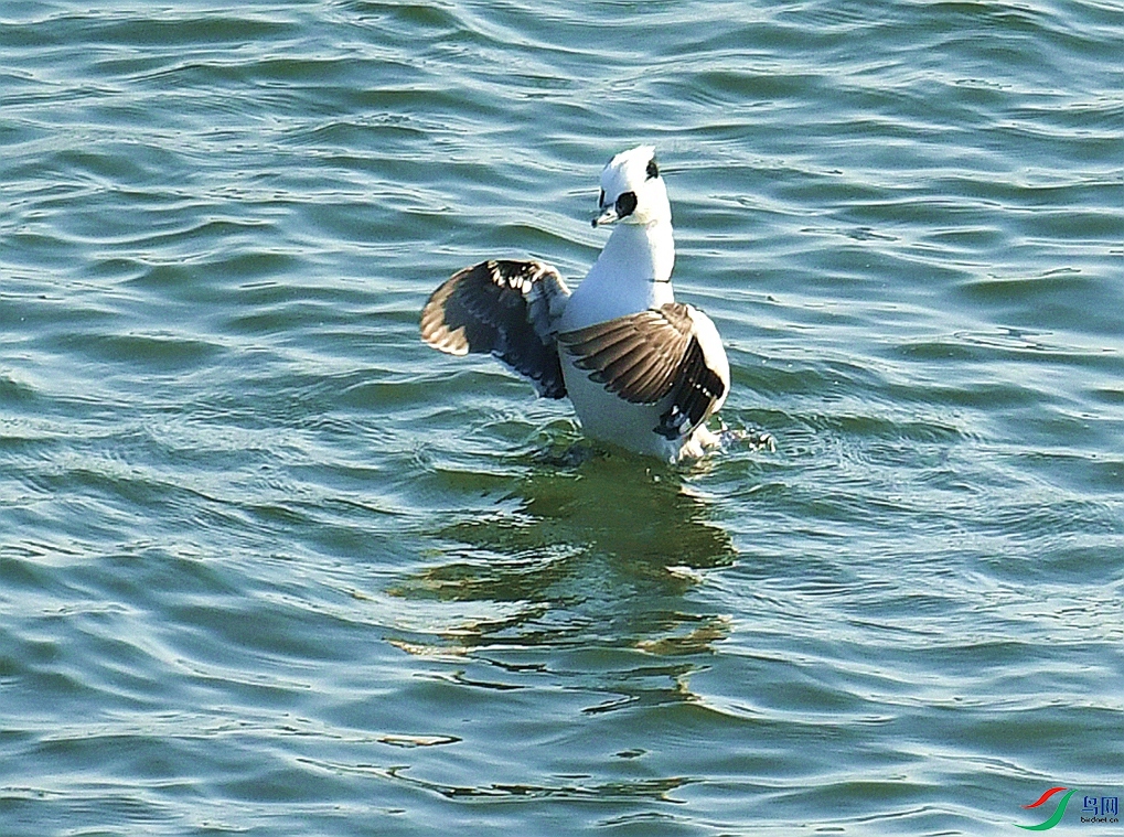 DSC_4805.jpg