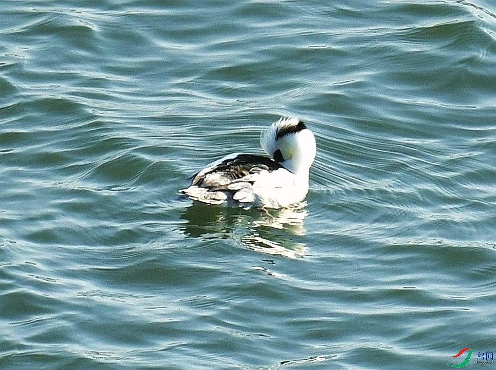 DSC_4728.jpg