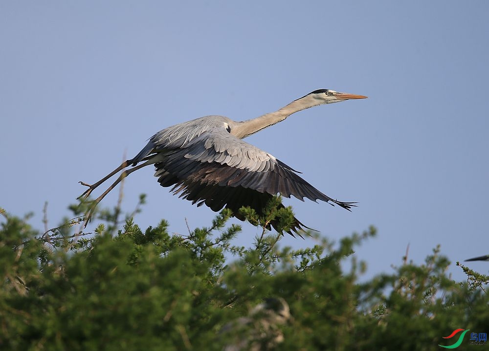 D72T0834.JPG