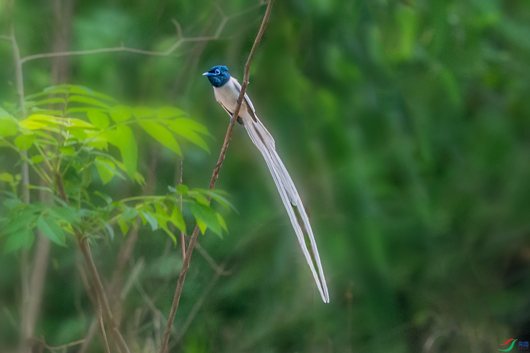 _DSC3064-11.jpg