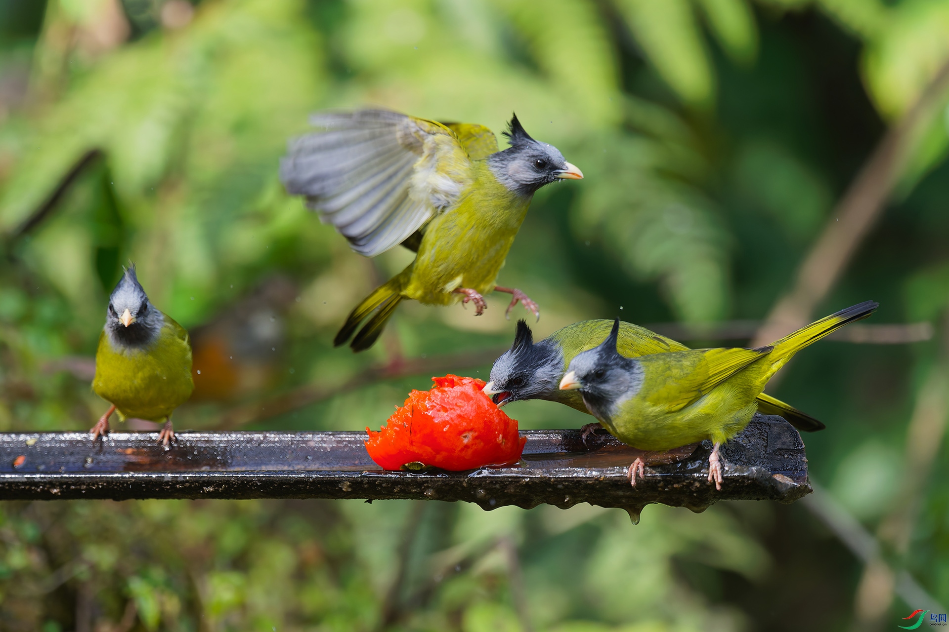 2DSC_7776_DxO_DxO.jpga.jpg