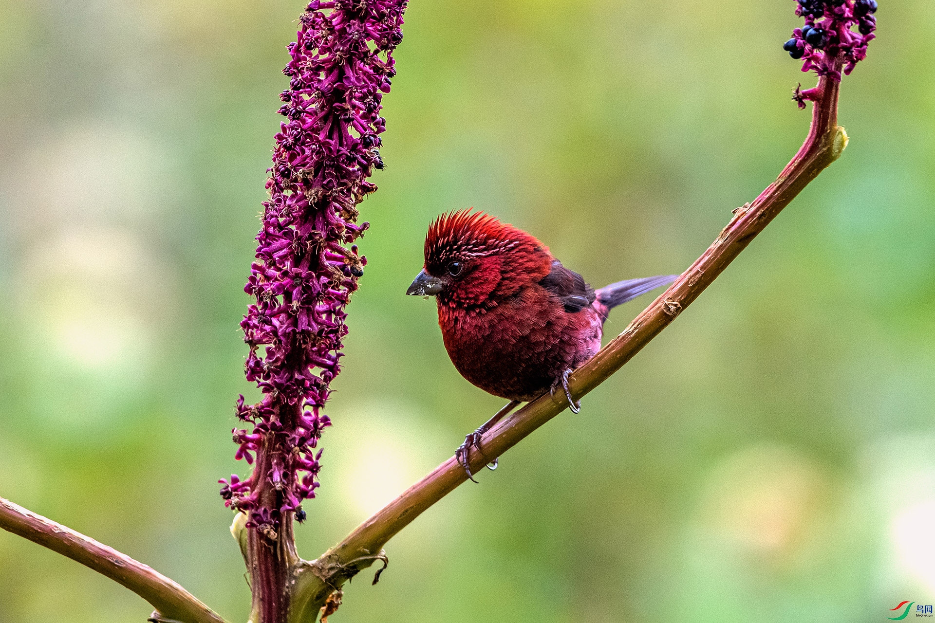 _AUU9101 �ƺ���ȸ(25.8.26).jpg