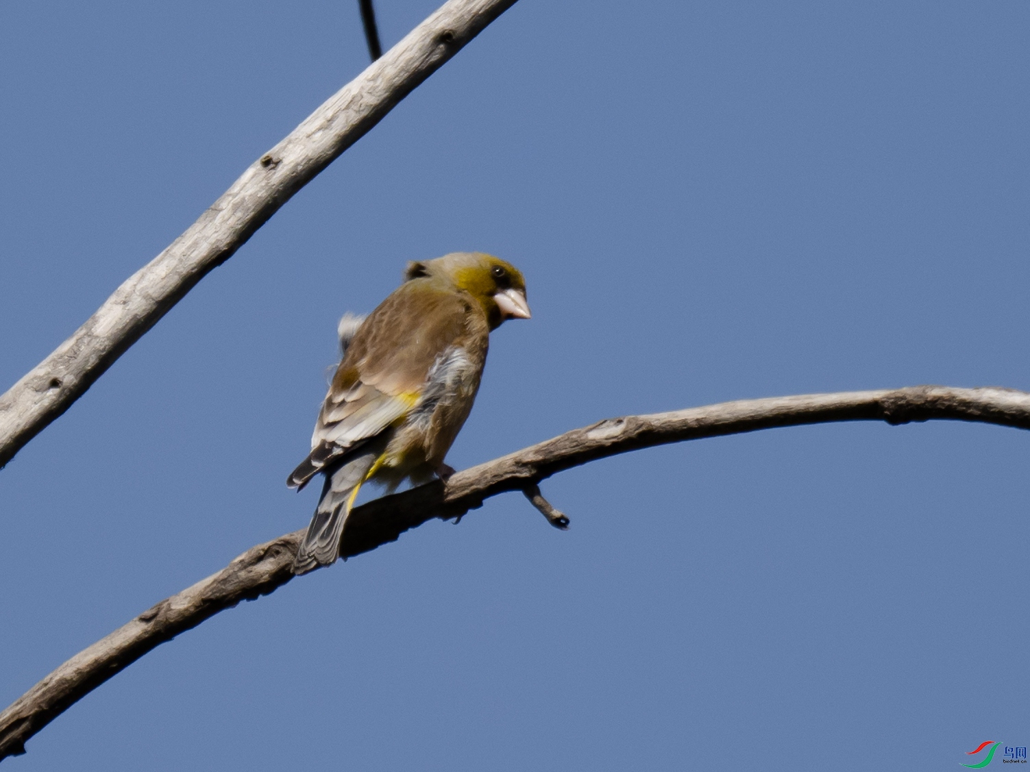 P4208210.jpg