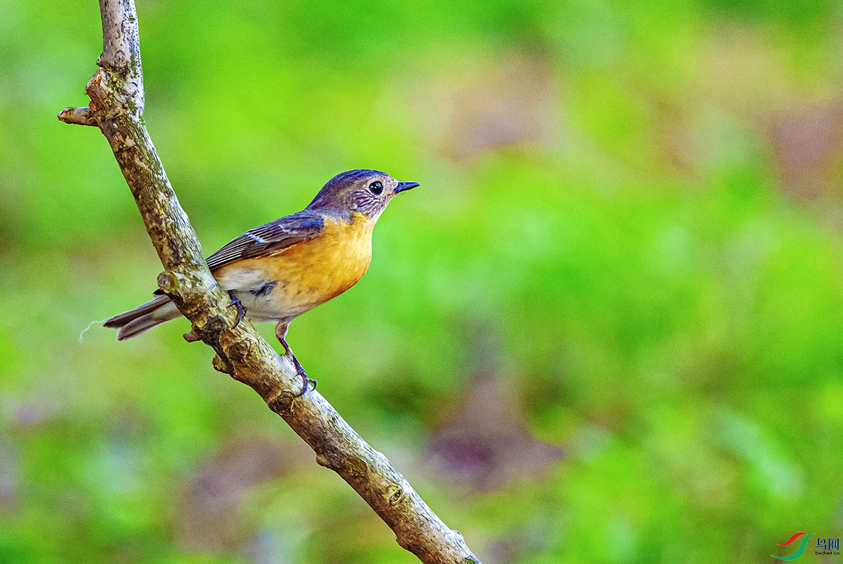 DSC_2487-����ǿ.jpg