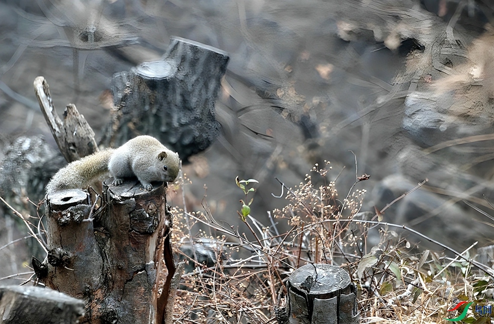 DSC07451_����.jpg