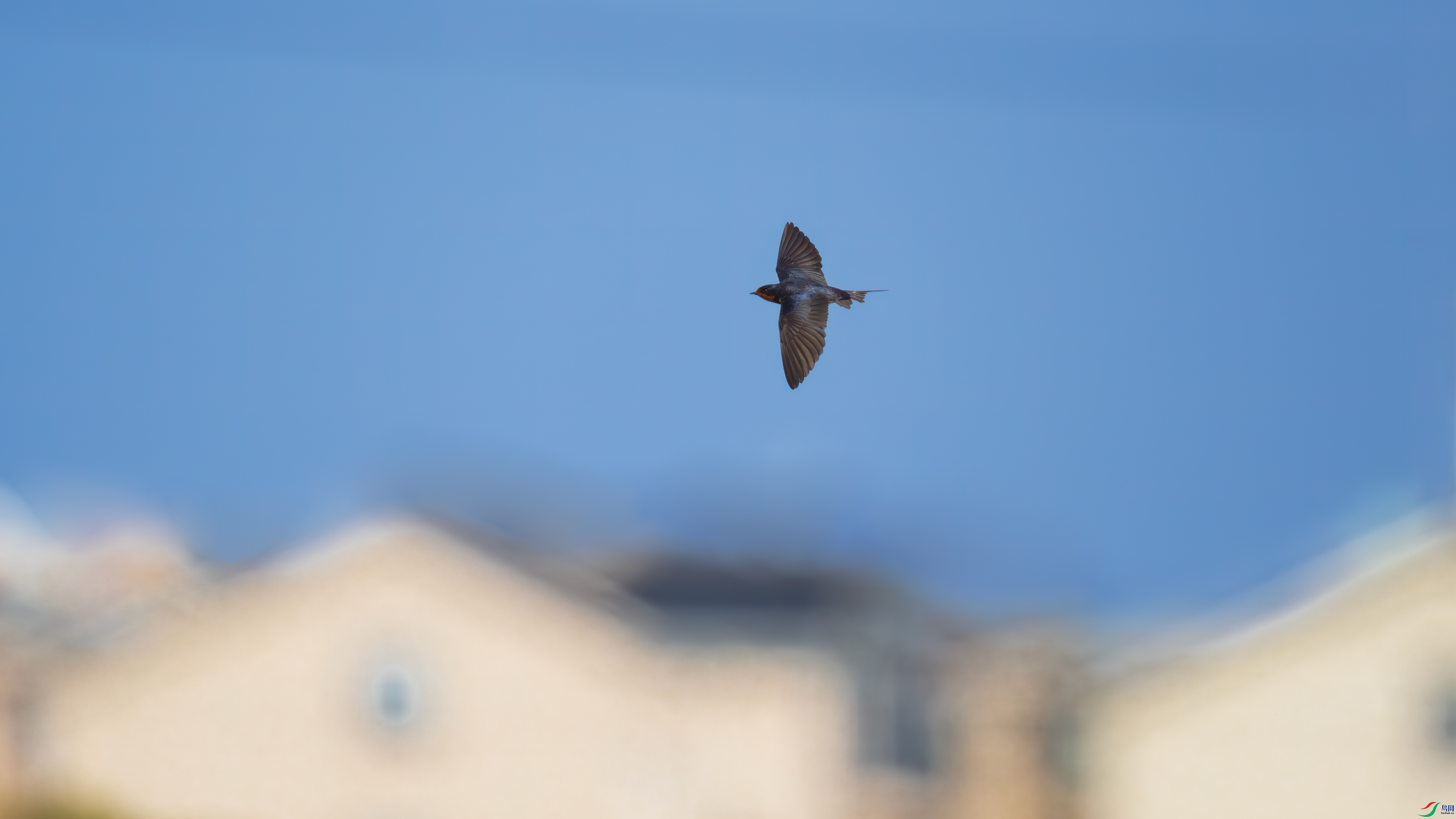 DSC_0113.jpg