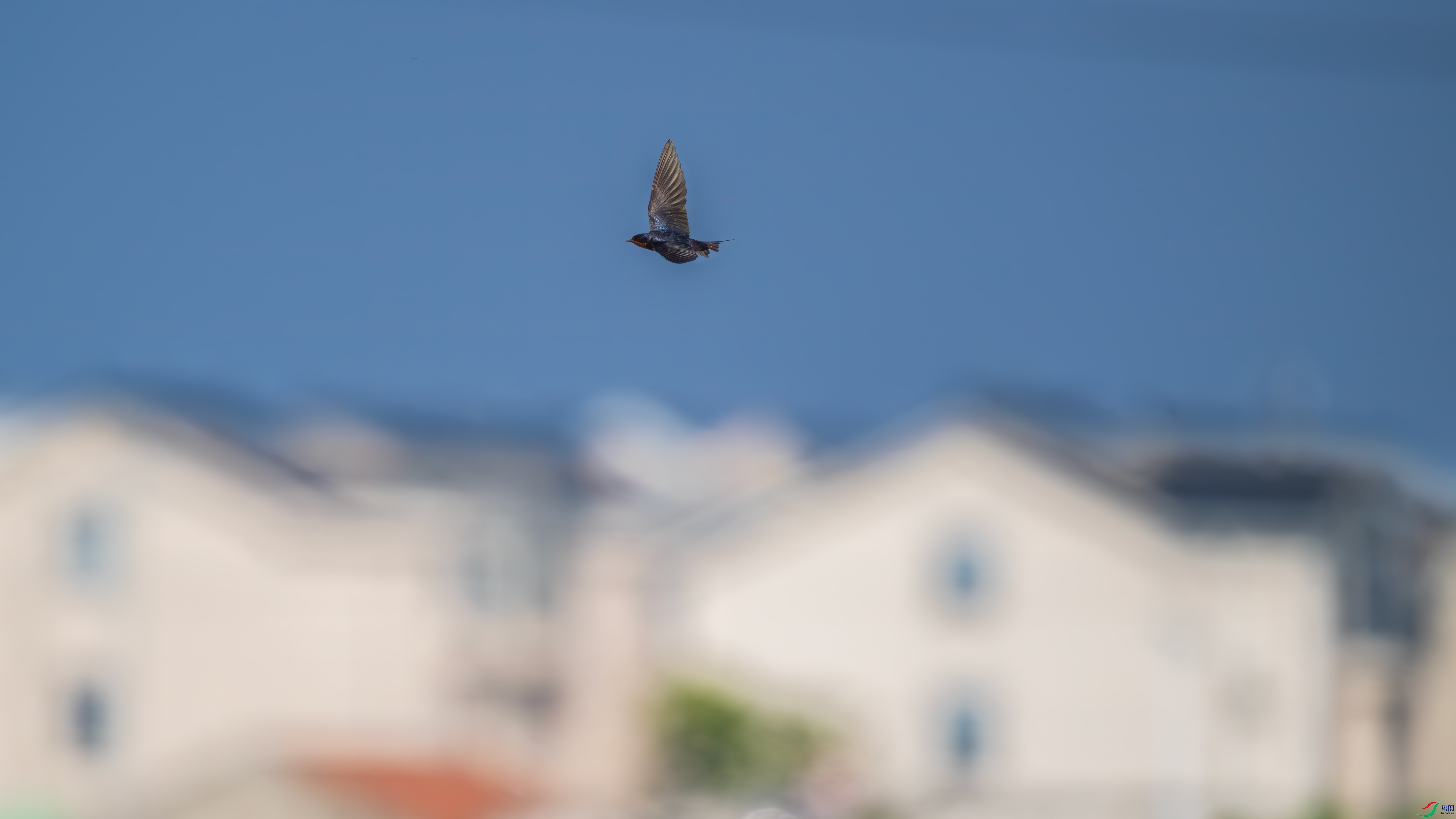 DSC_0115.jpg