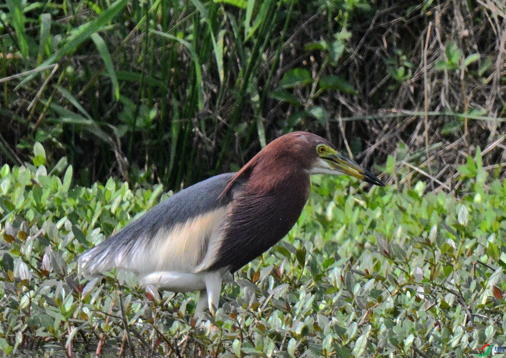 DSC_5301_����.jpg