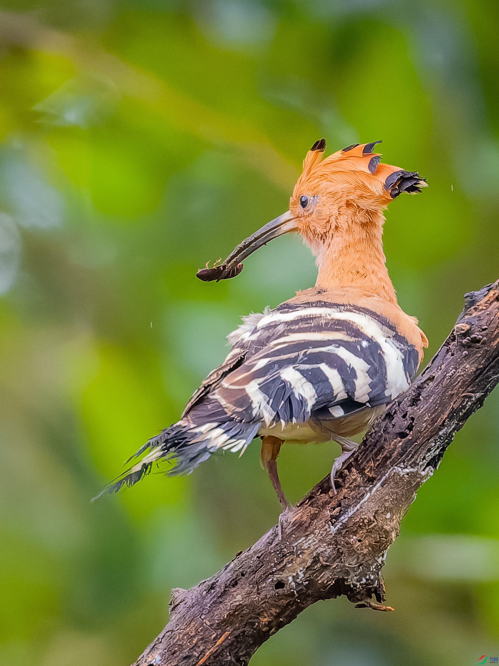 DSC06190-4M.jpg