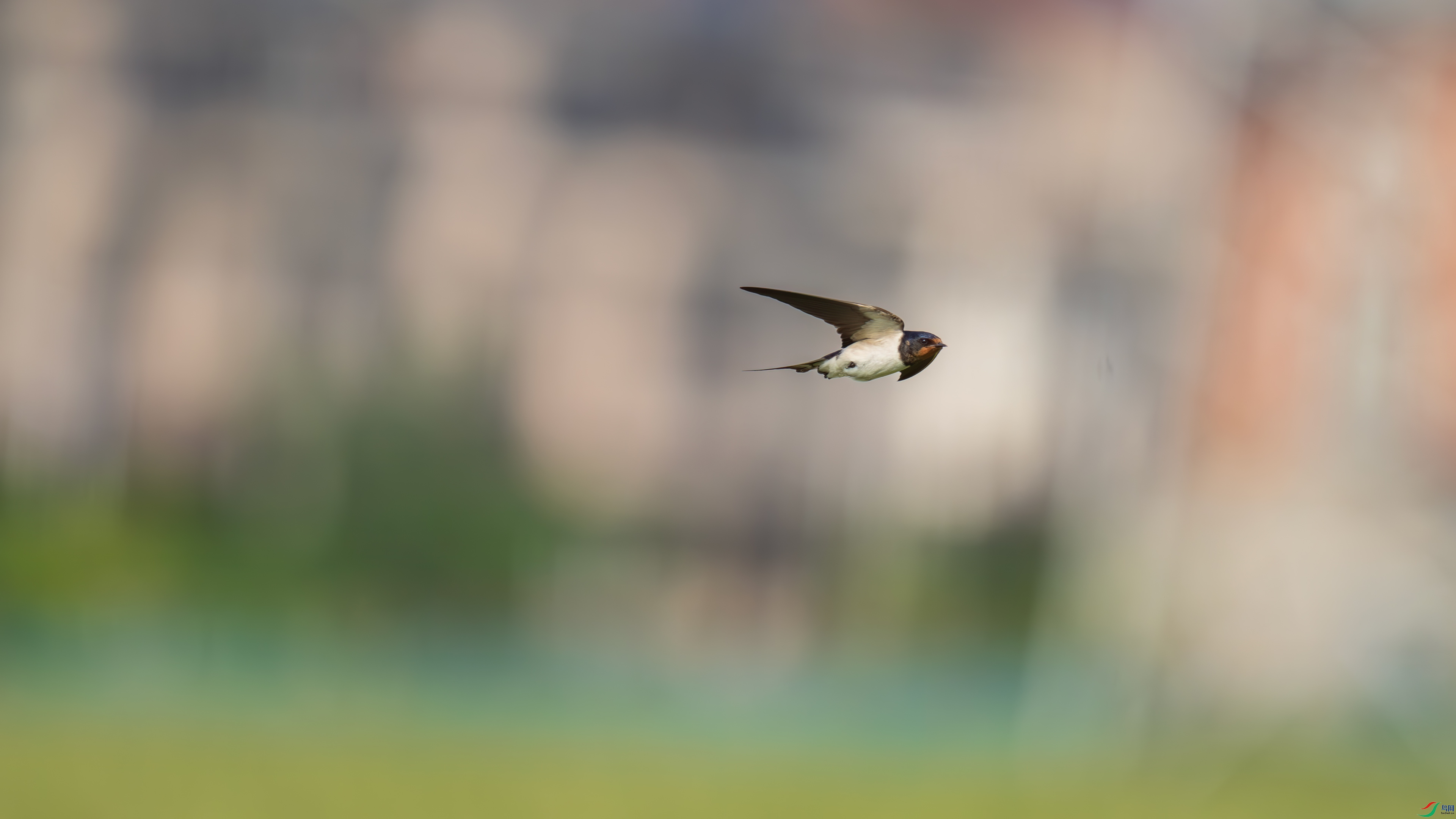 DSC_0152.jpg
