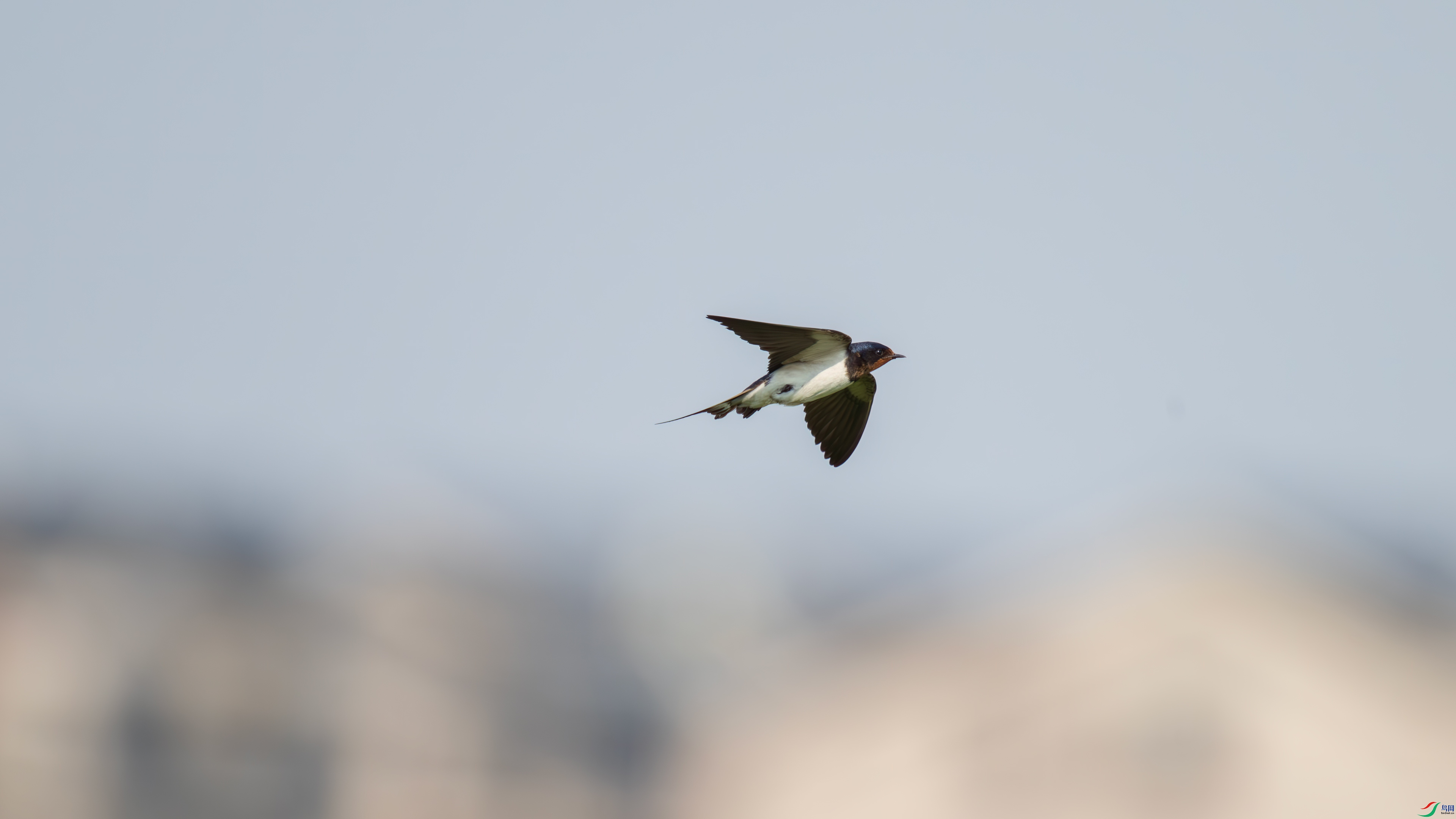 DSC_0159.jpg