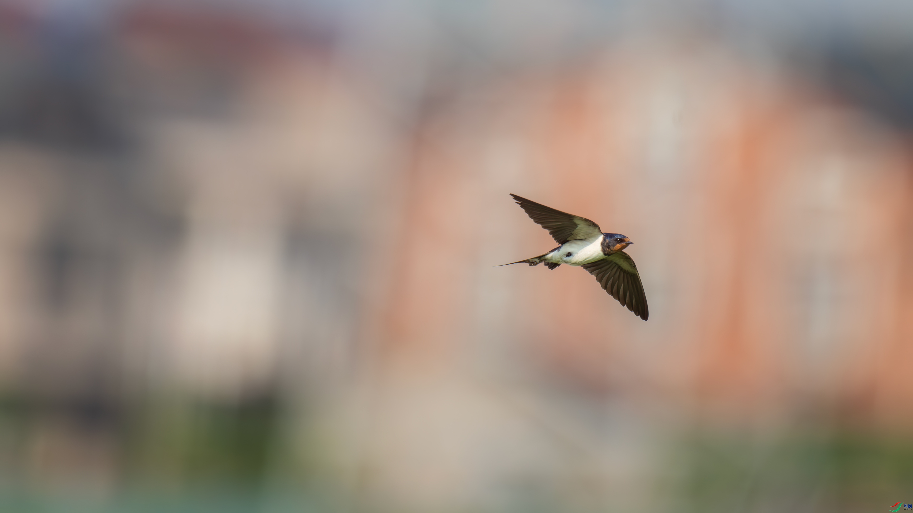 DSC_0154.jpg