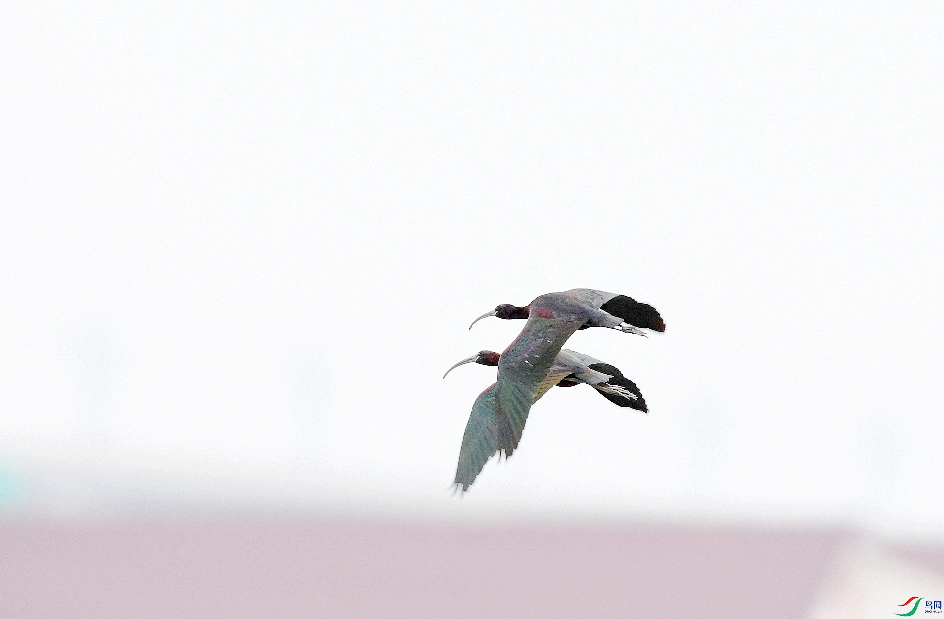 DSC_0306.jpg