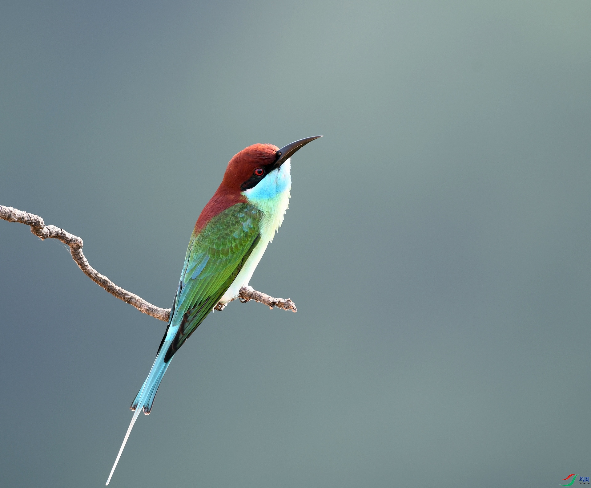 DSC_0442.jpg