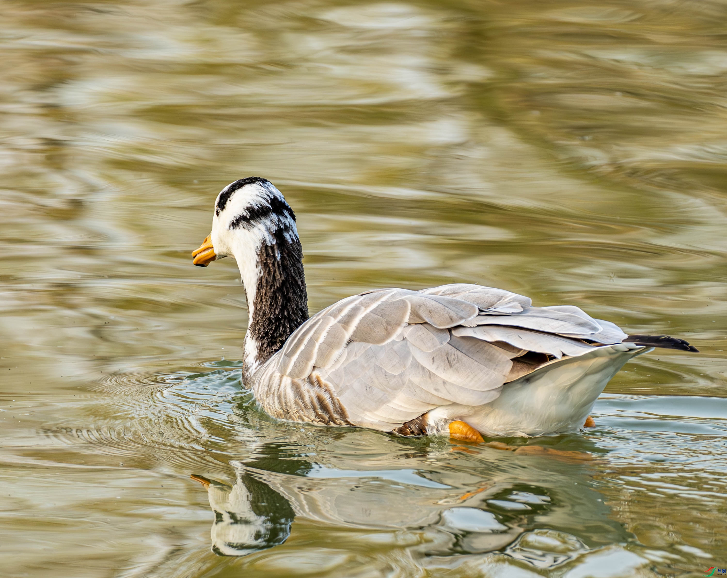 ��ͷ��-02-24.jpg