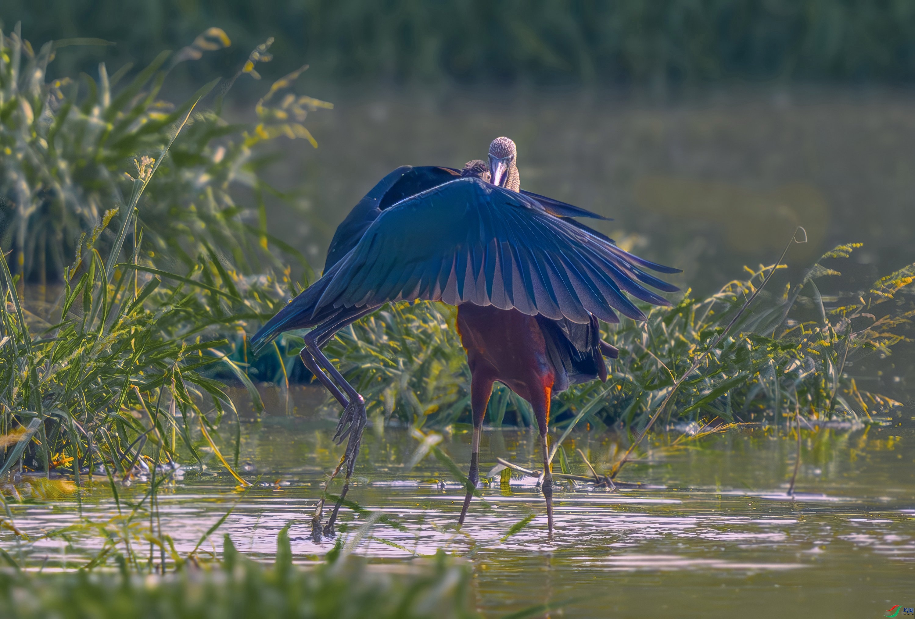 01.jpeg
