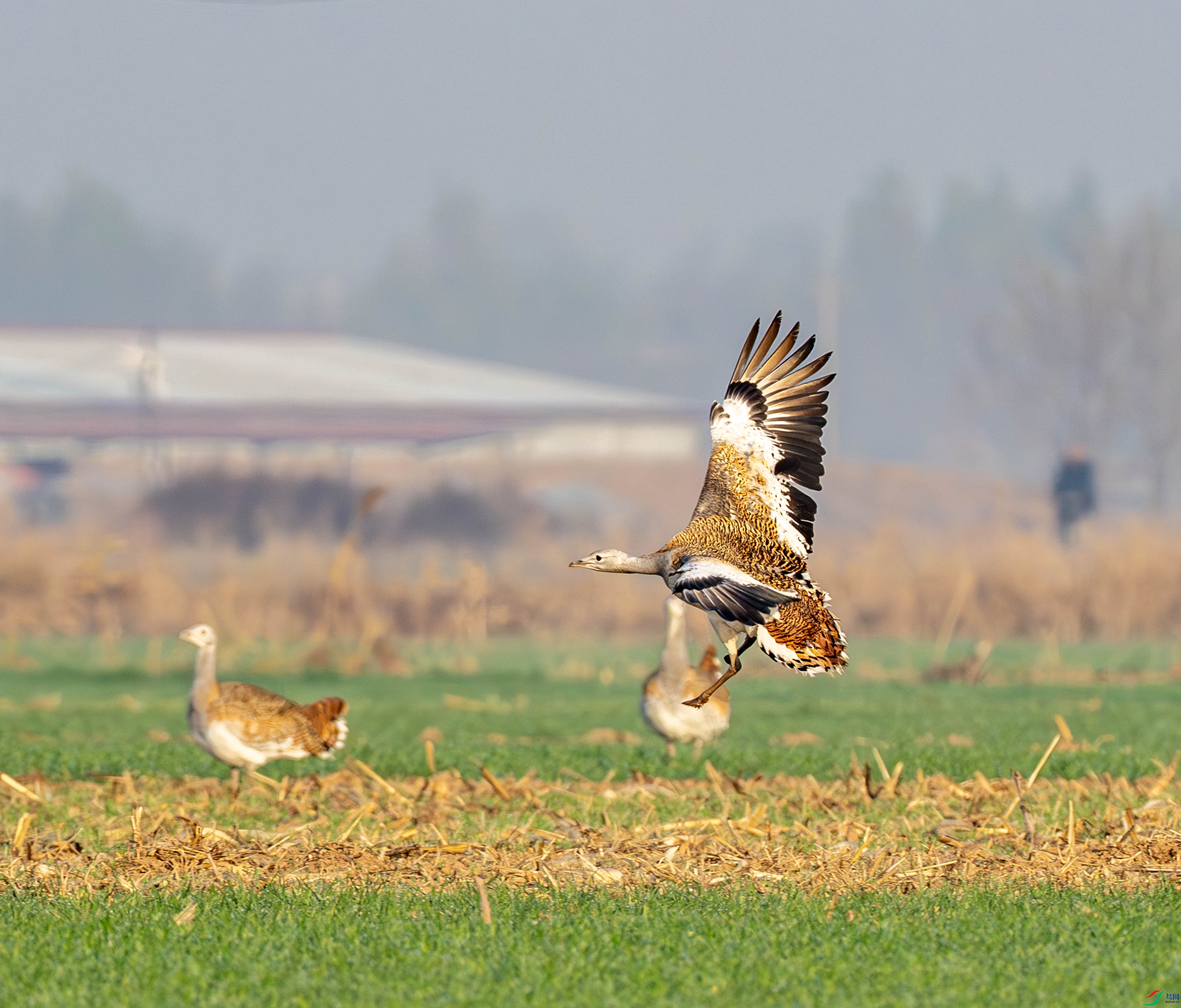 ���-04-4.jpg