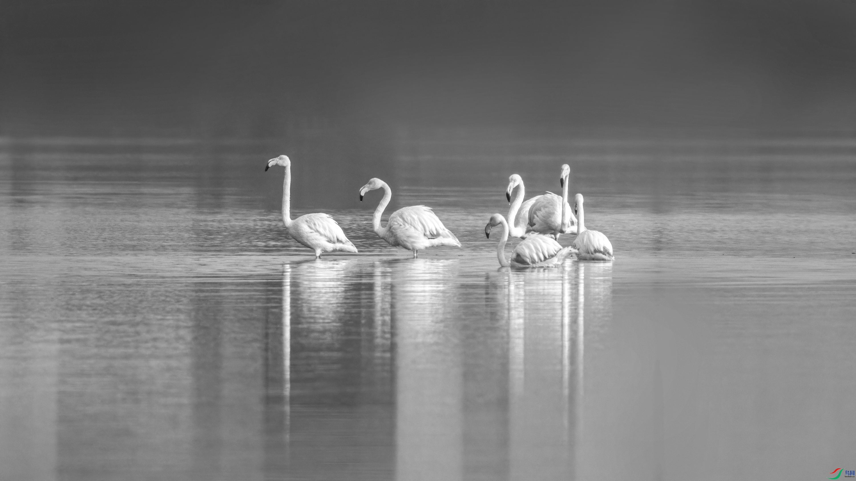 DSC_9188_DxO.jpg