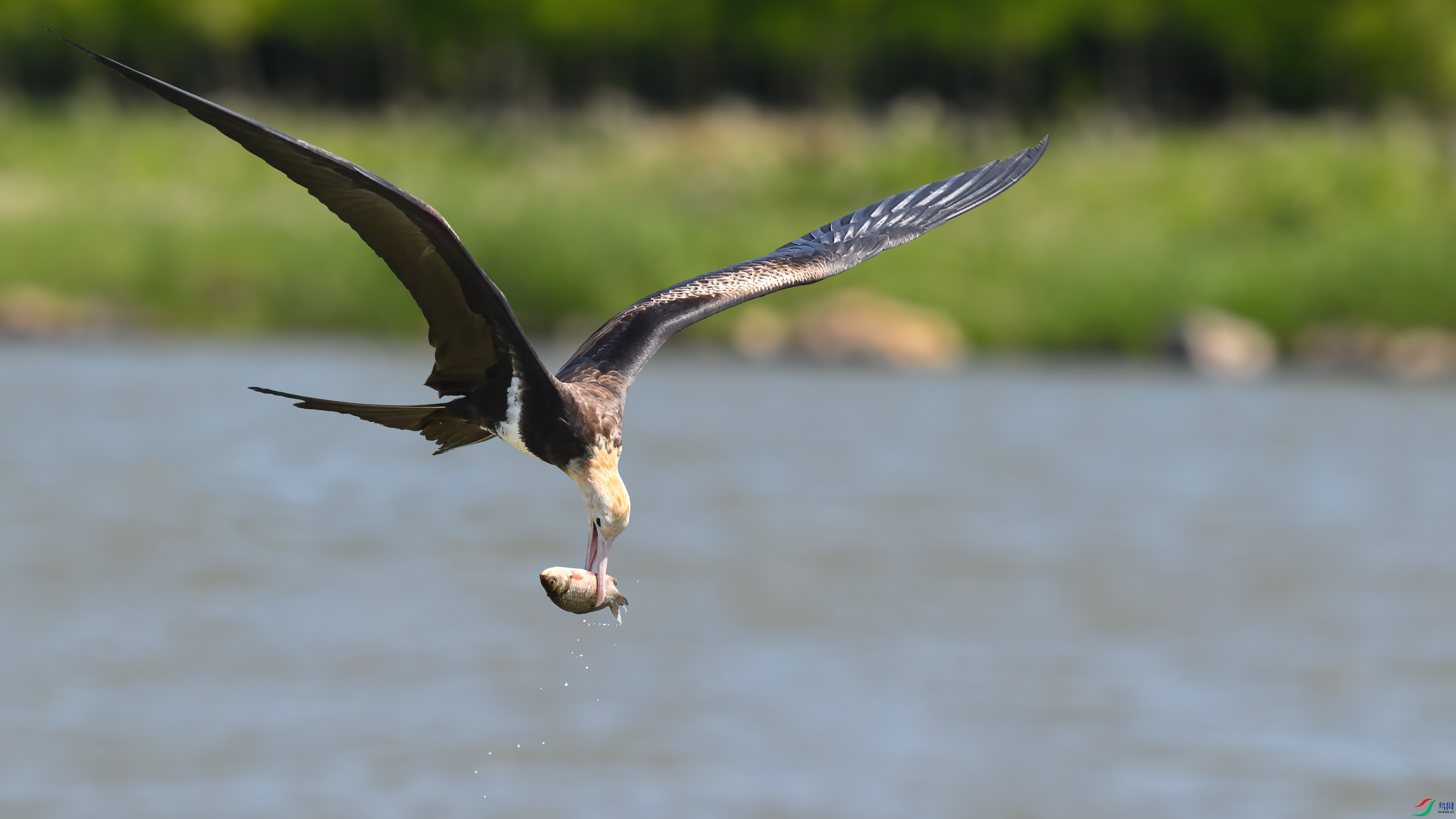 ������DSC_6590.jpg