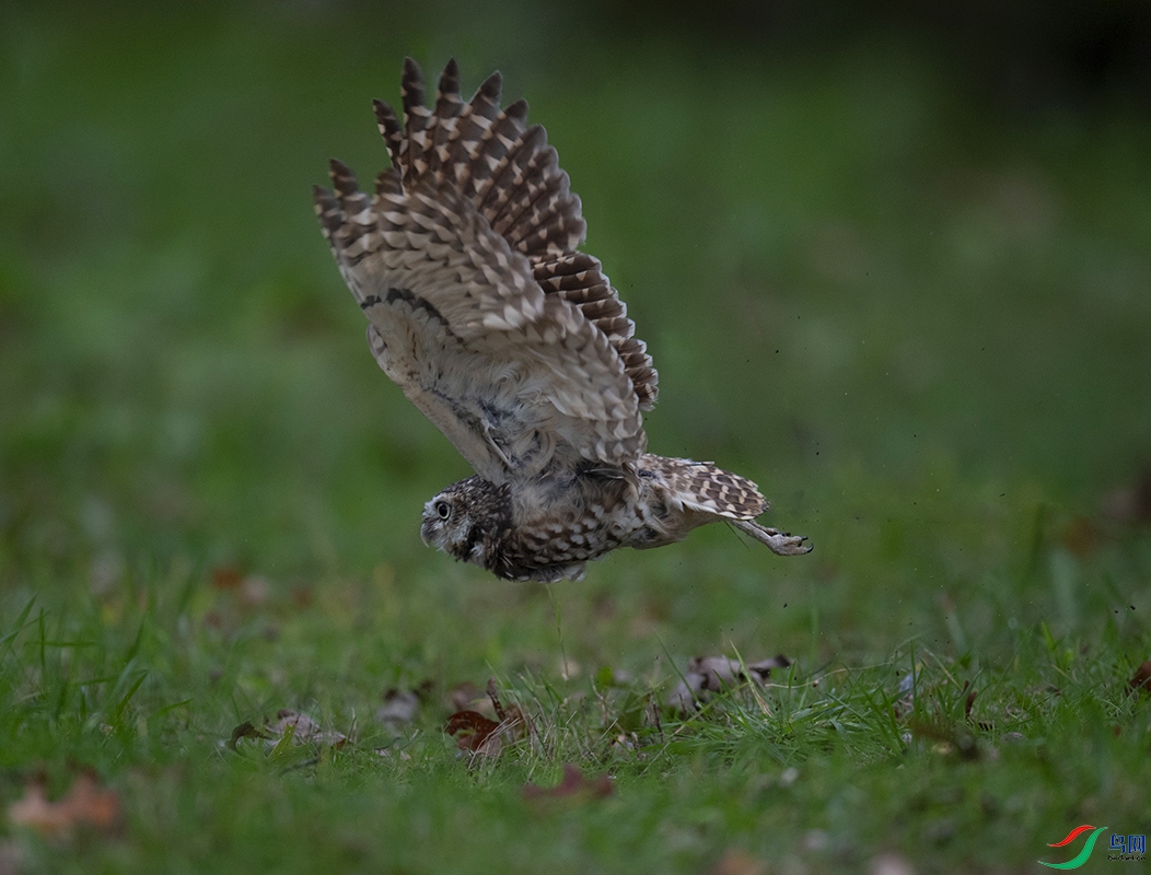 DSC_5828-1.jpg5.jpg