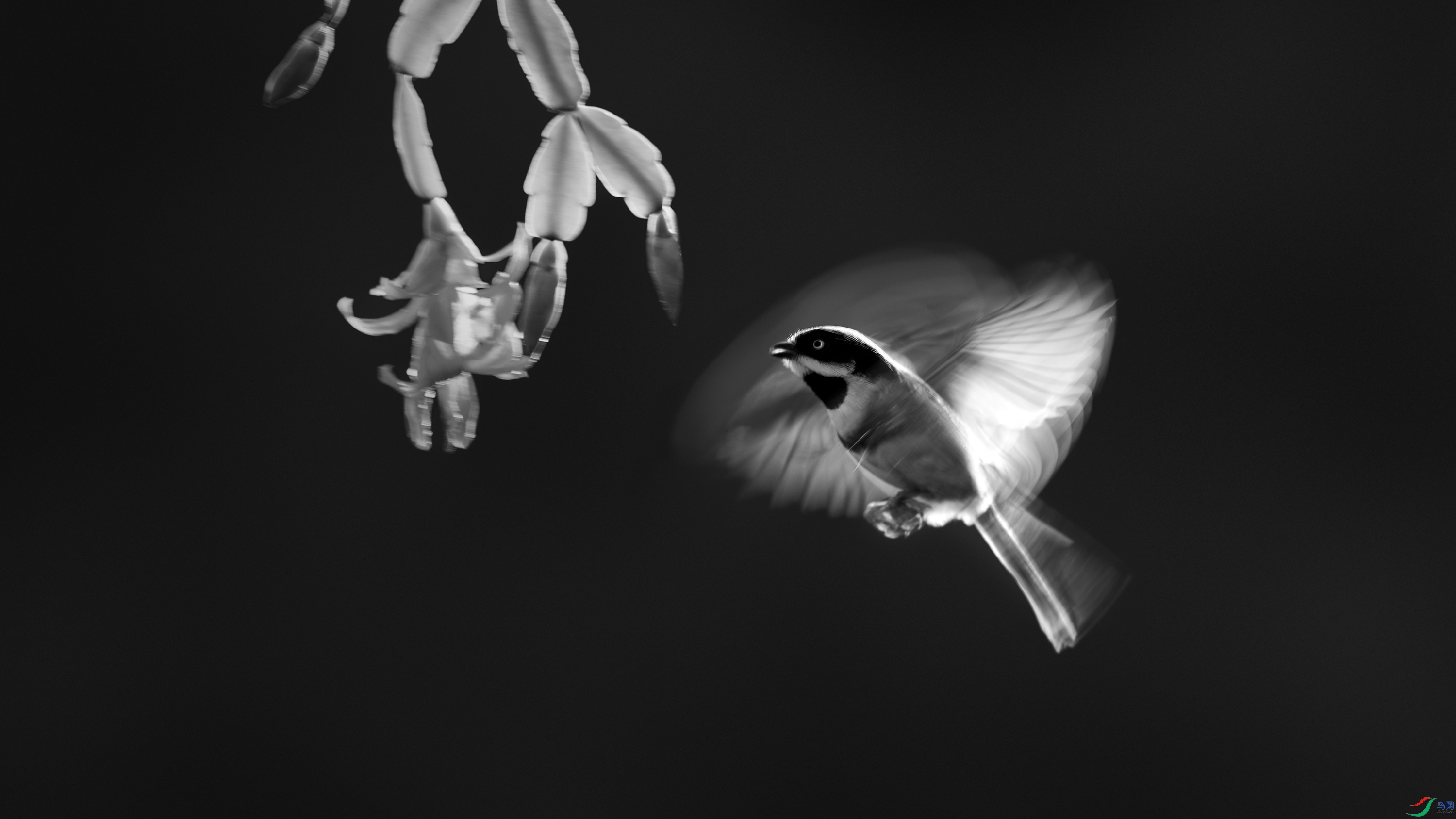 0B3A5406.jpg