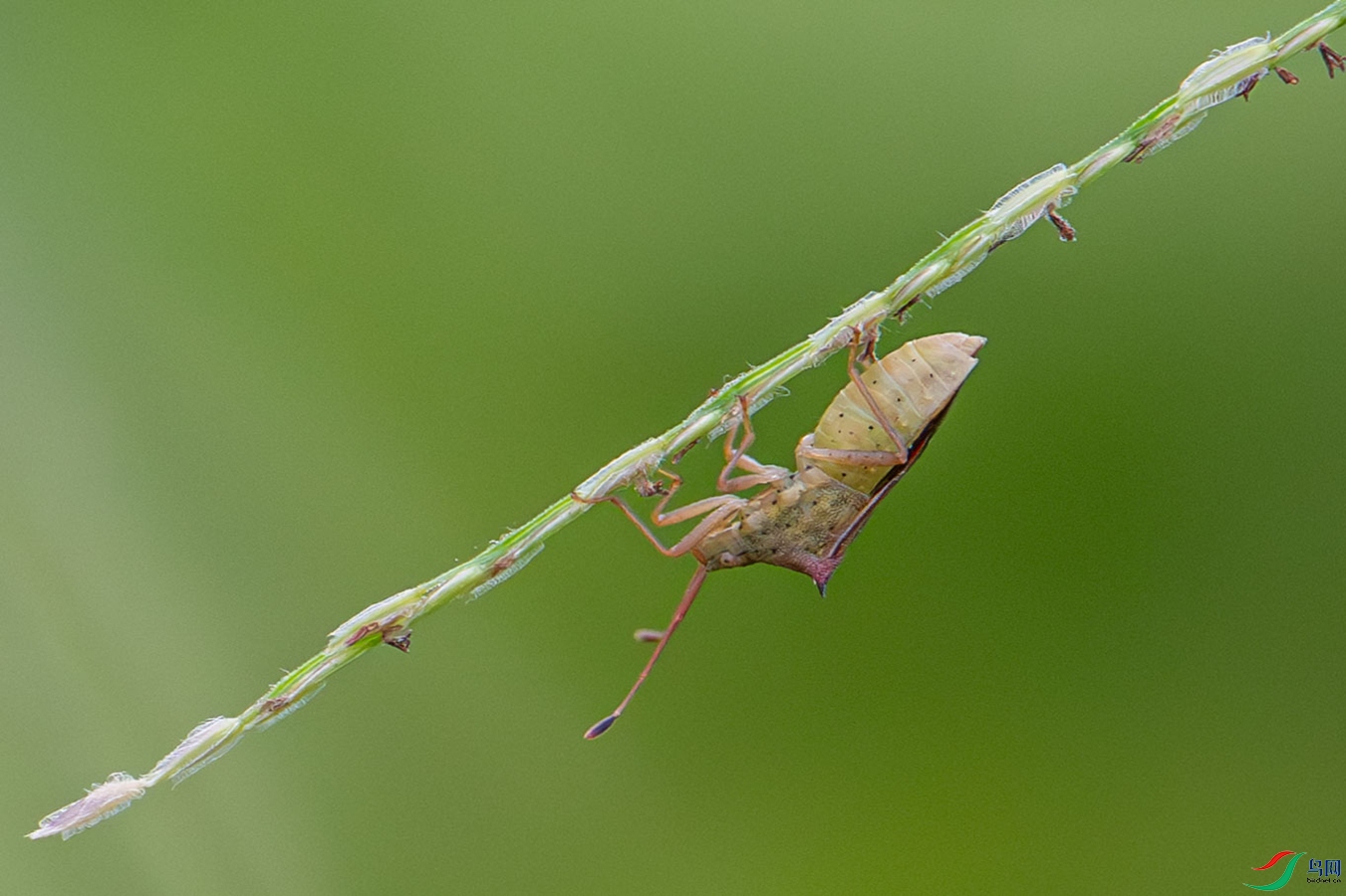 DSC_6454_����.jpg