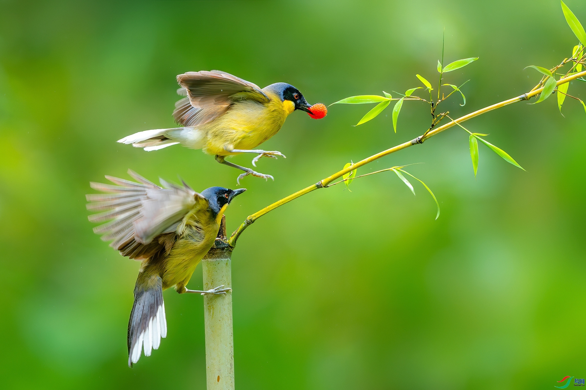 5.4��ҶŮʿ��ʦ��Ʒ   ������̣�ף����ʦ��Ʒ�ٻ���Ӱʦ������.jpg