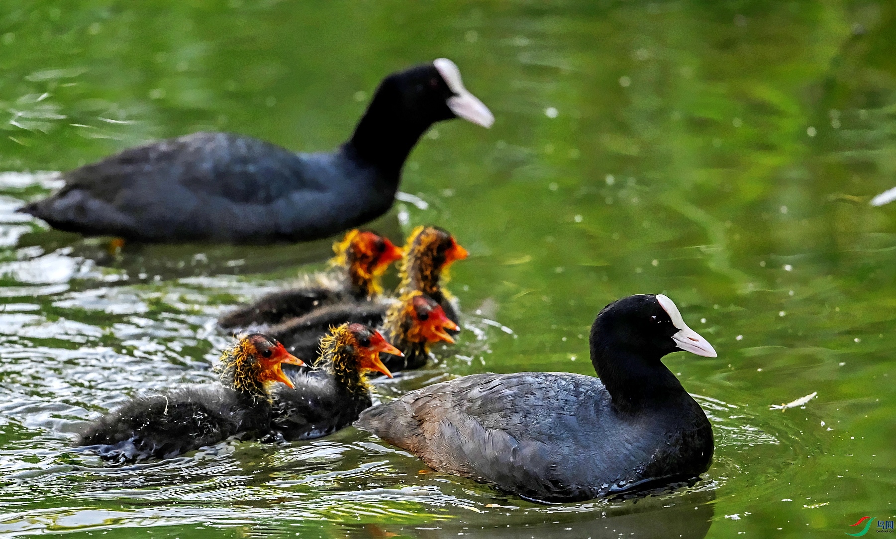DSC_6147---_conew1.jpg