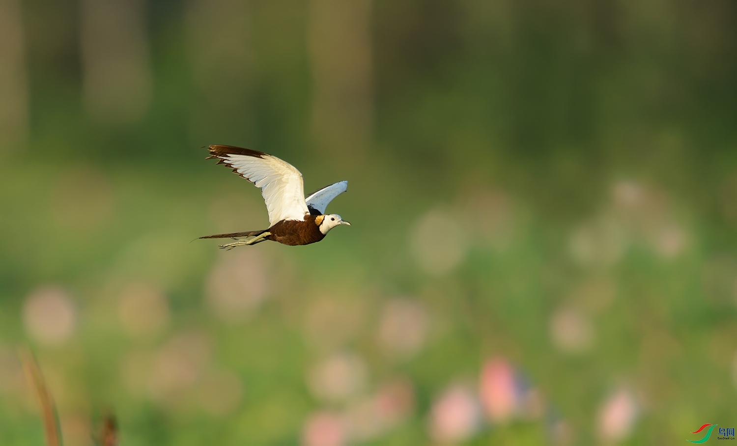 DSC_9403_����3.jpg