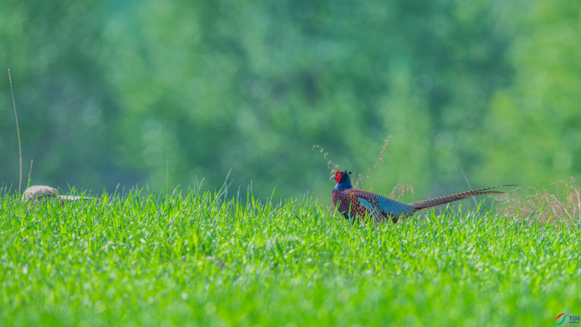 _DSC6376_����.jpg