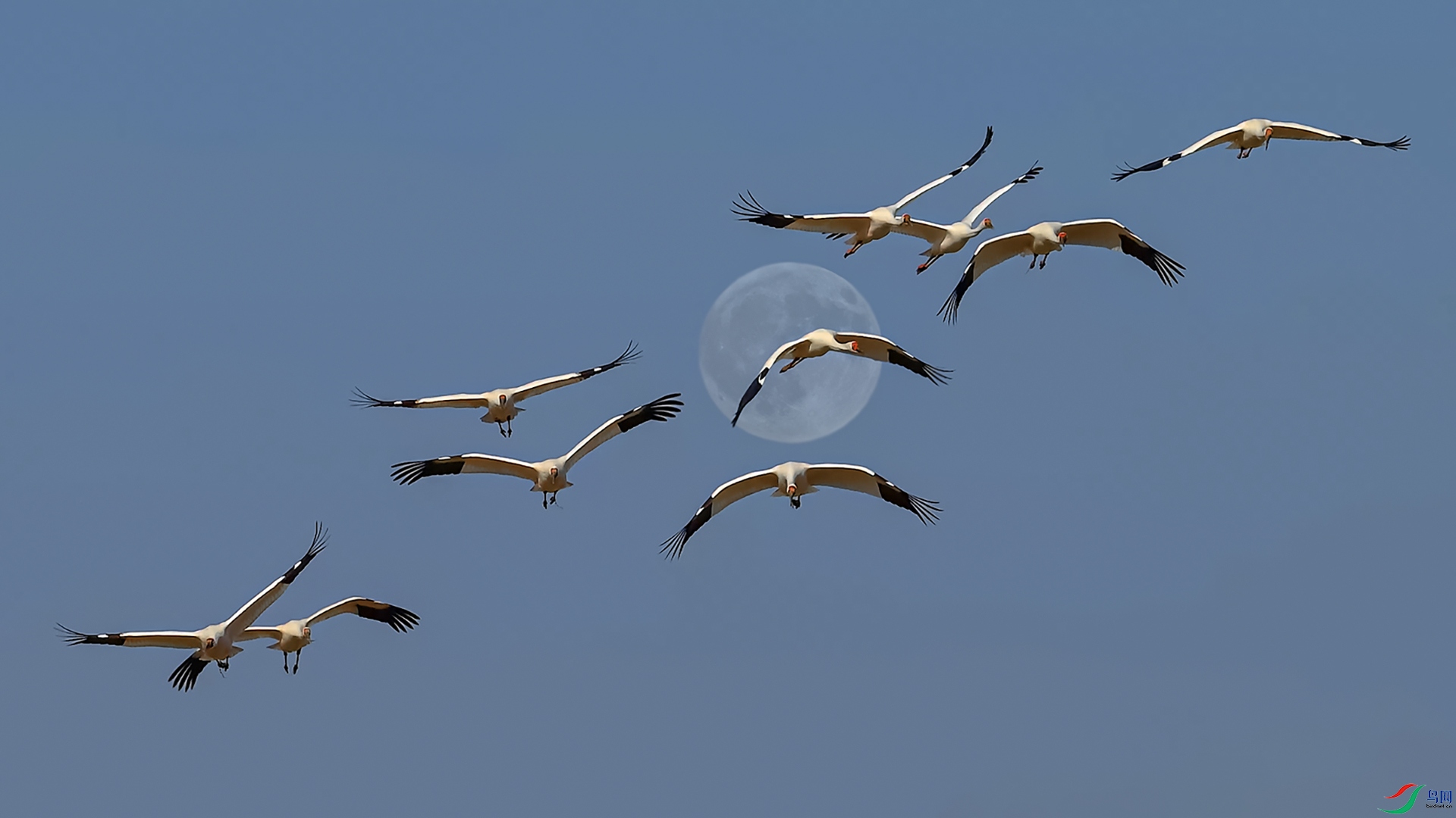 DSC_0976.jpg