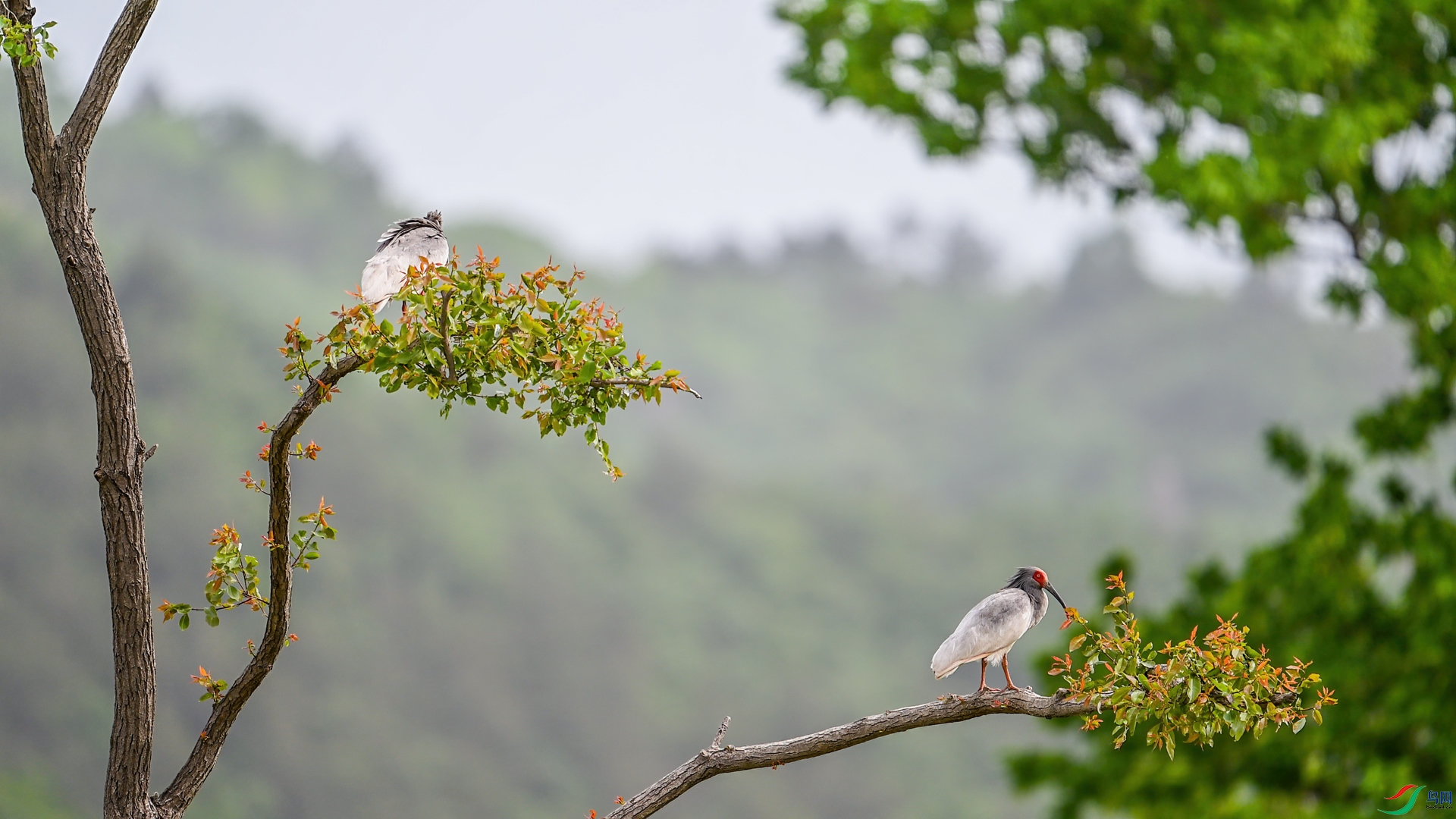 DSC_3172.jpg