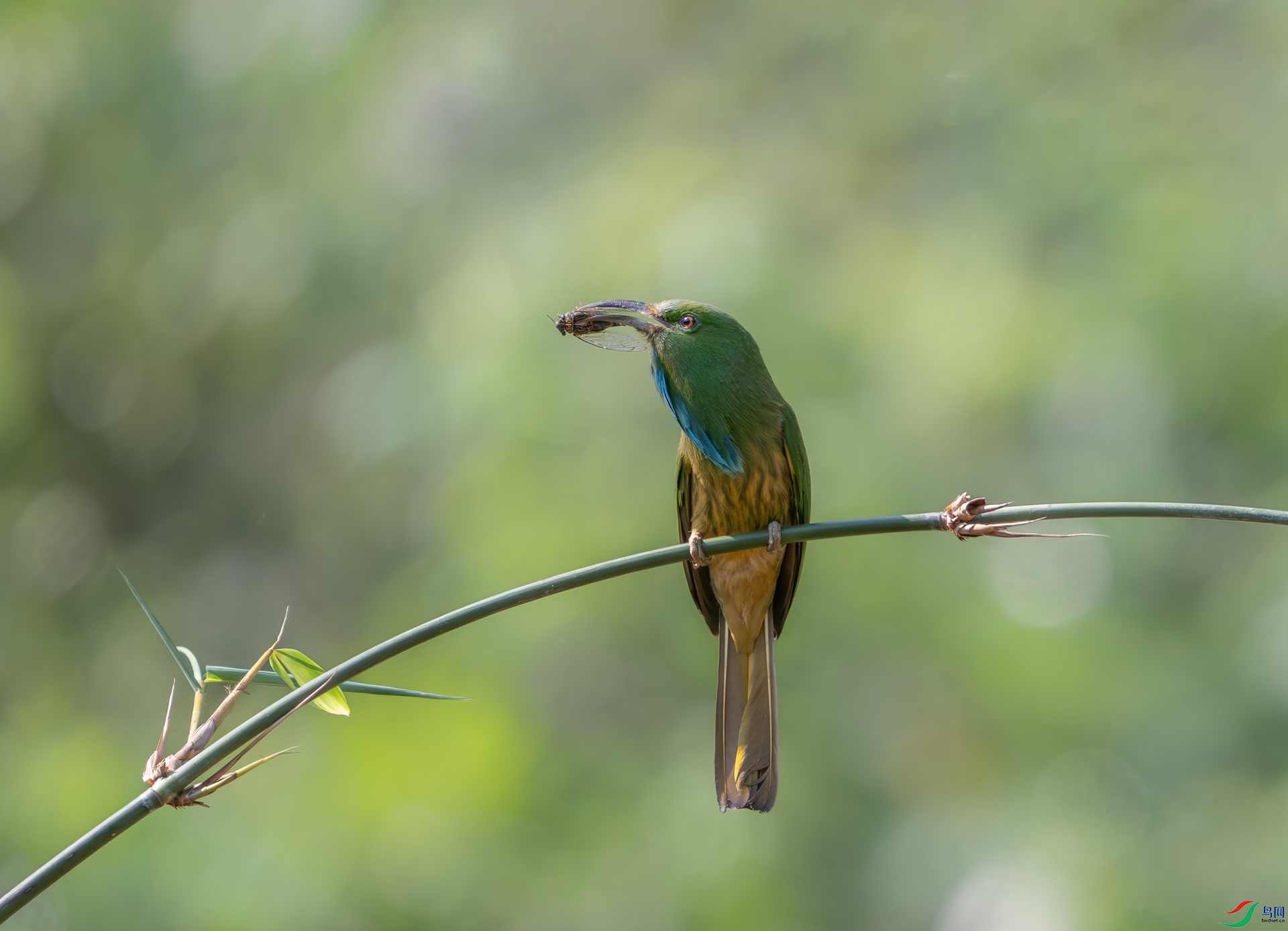 DSC_4194.jpg