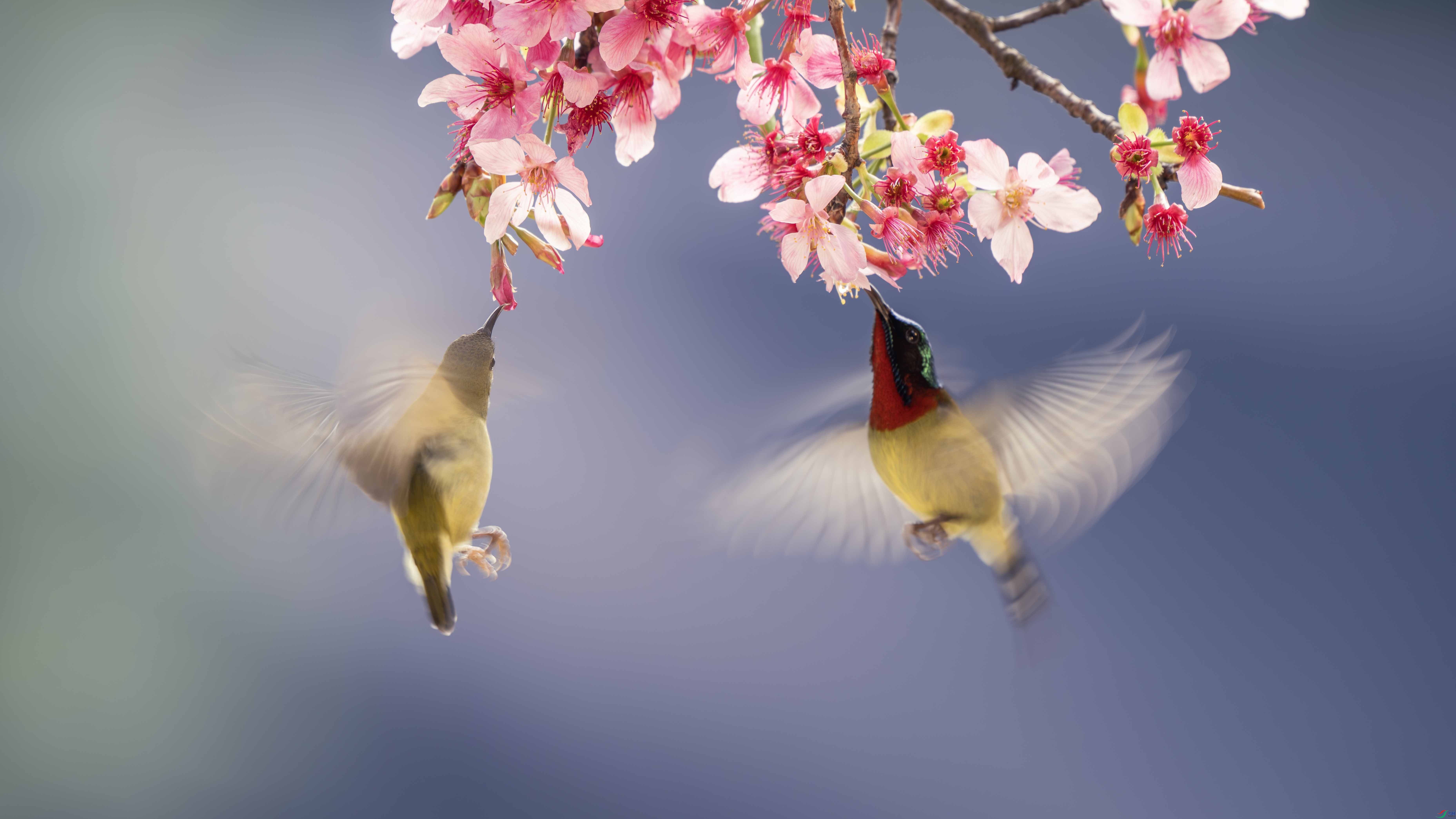 _DSC0986-����ǿ-NR ���� 2.jpg