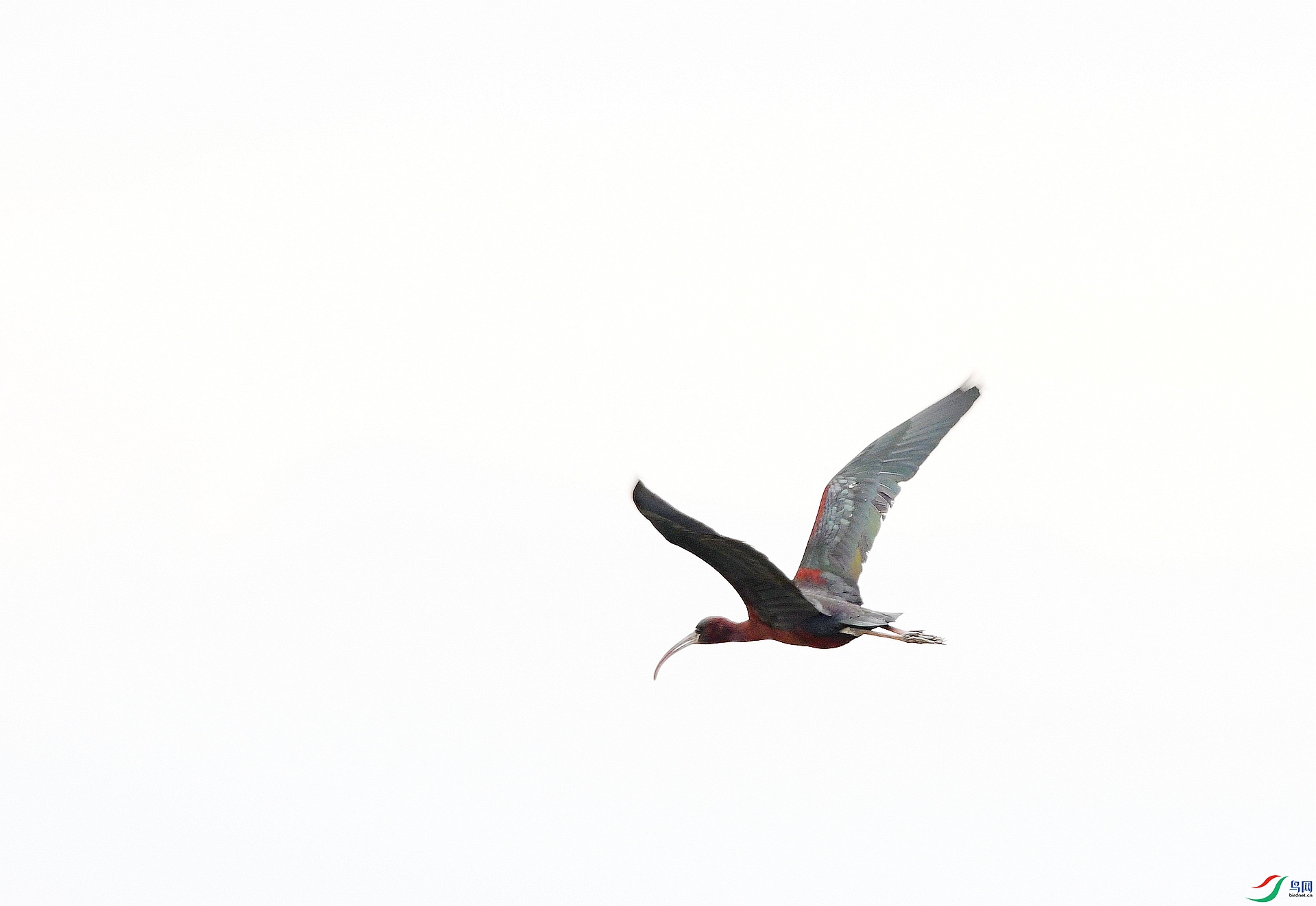 DSC_0302.jpg