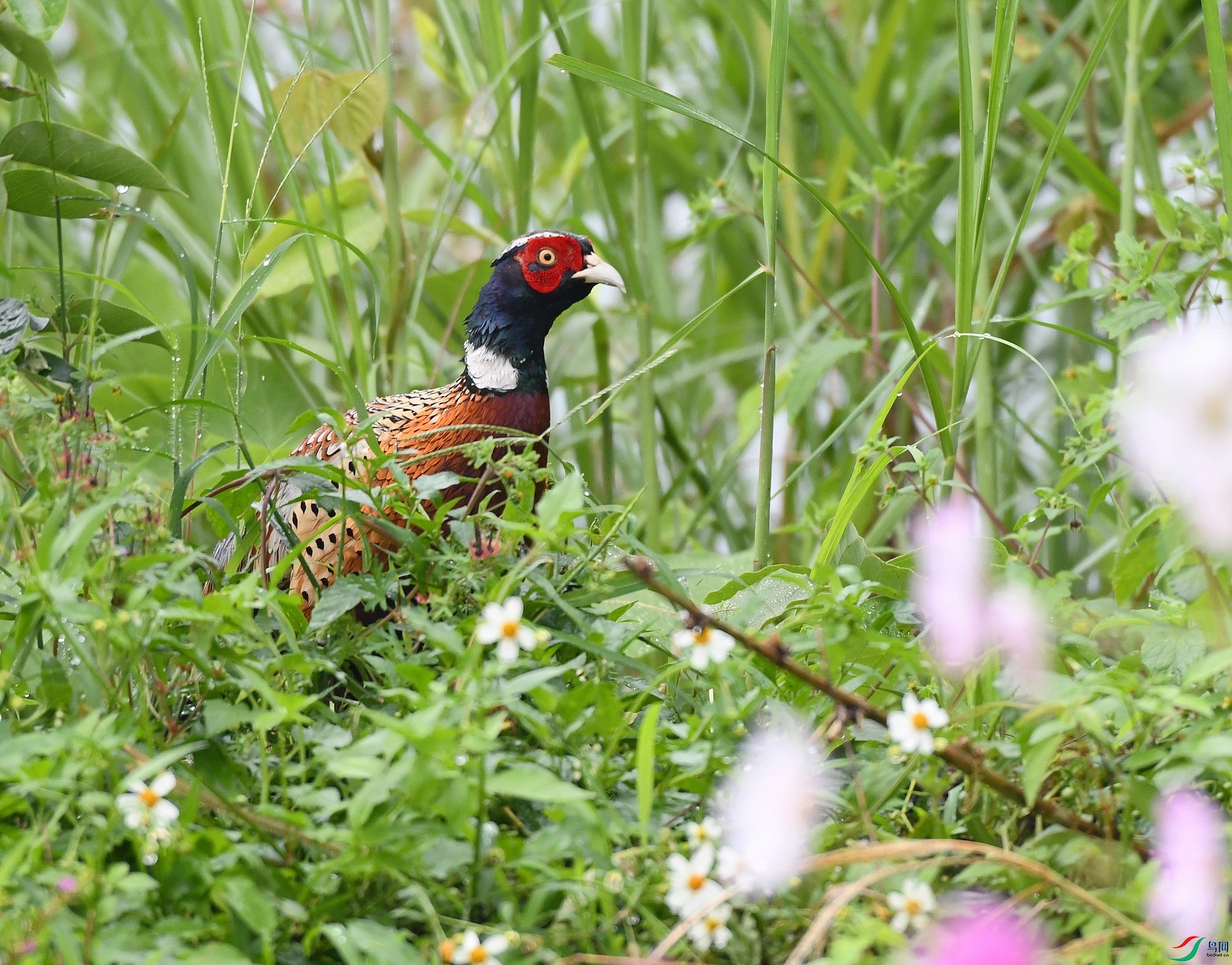 DSC_2374.jpg