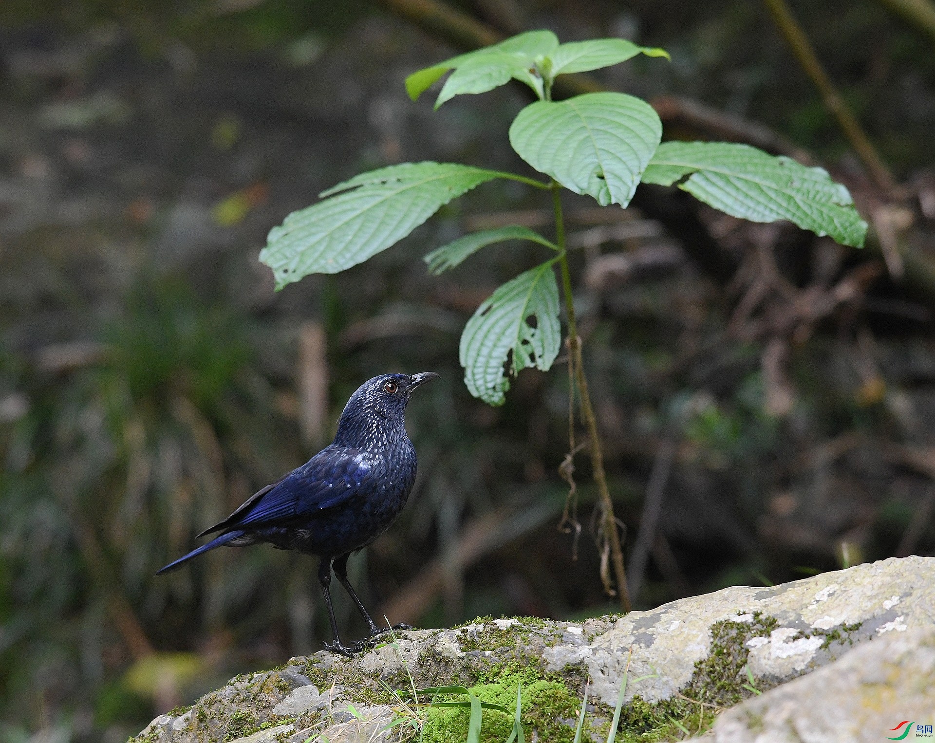 DSC_0724.jpg