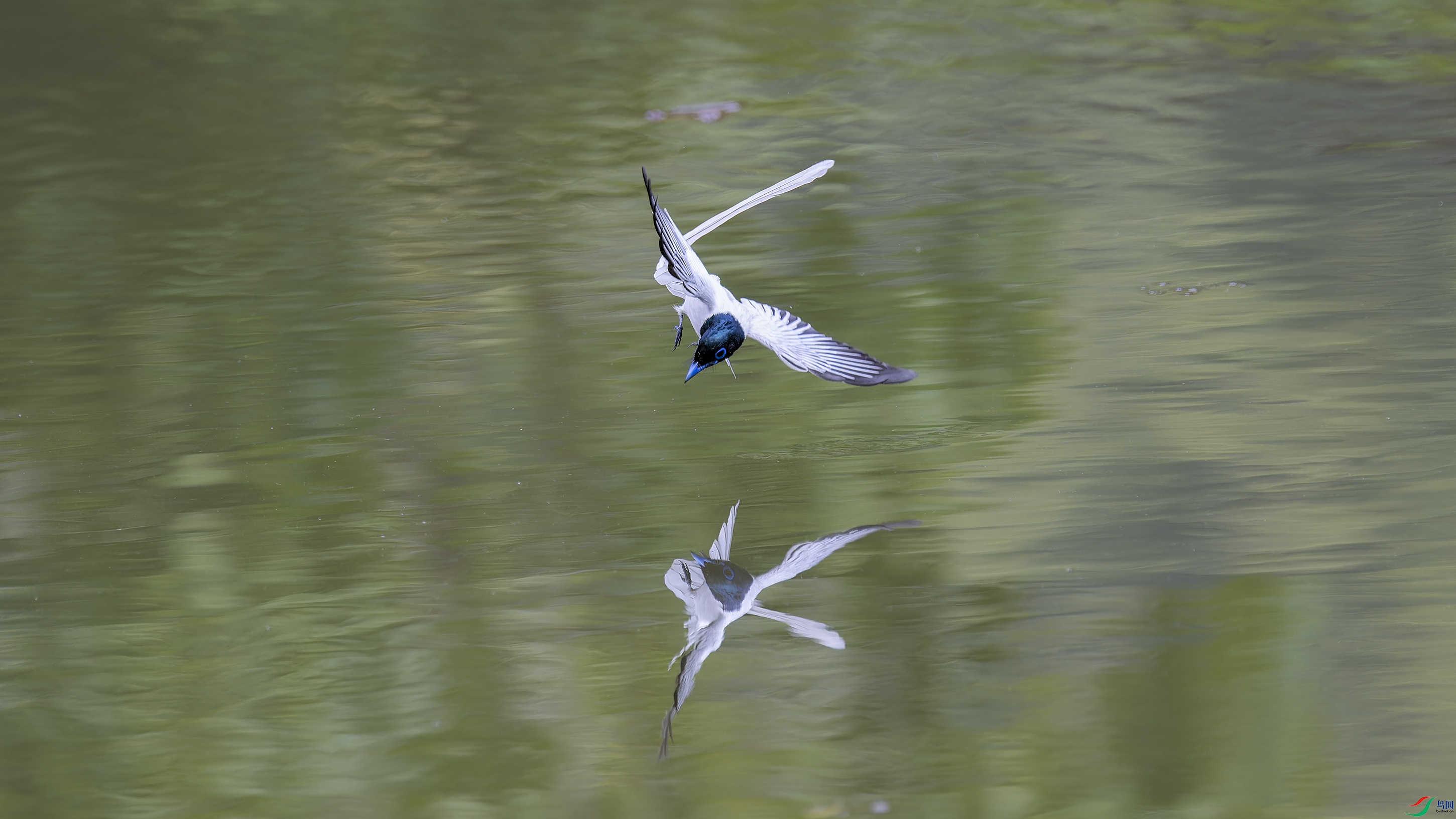 DSC_3726_DxO.jpg