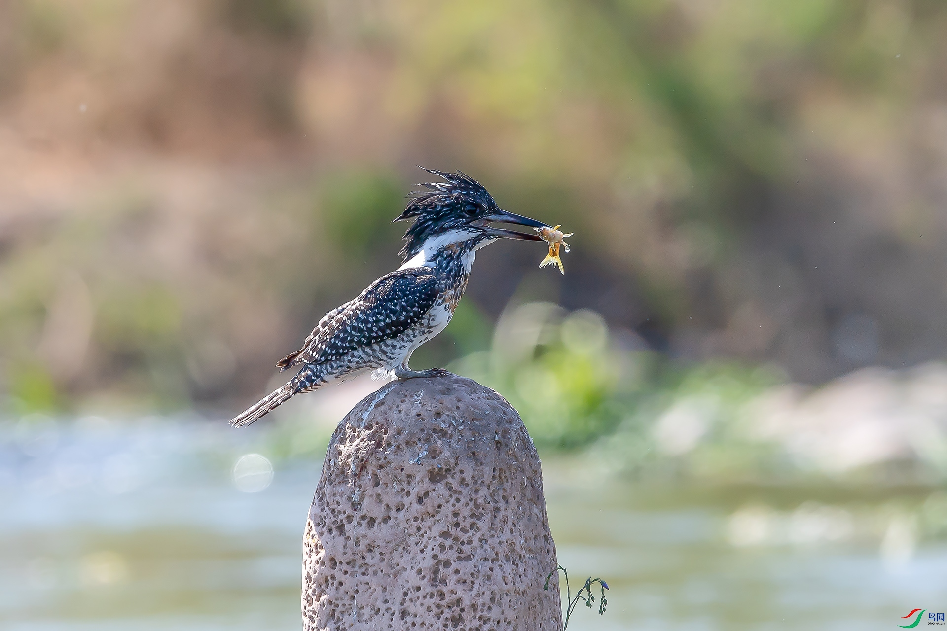 DSC_2189.jpg