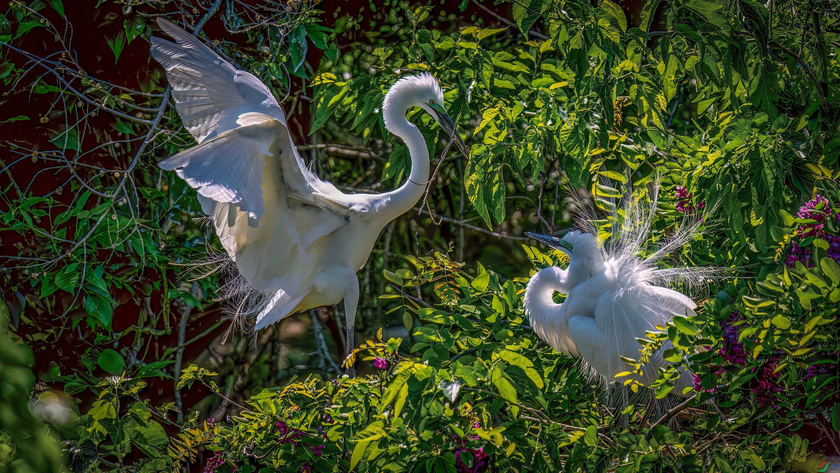 DSC_8979.jpg
