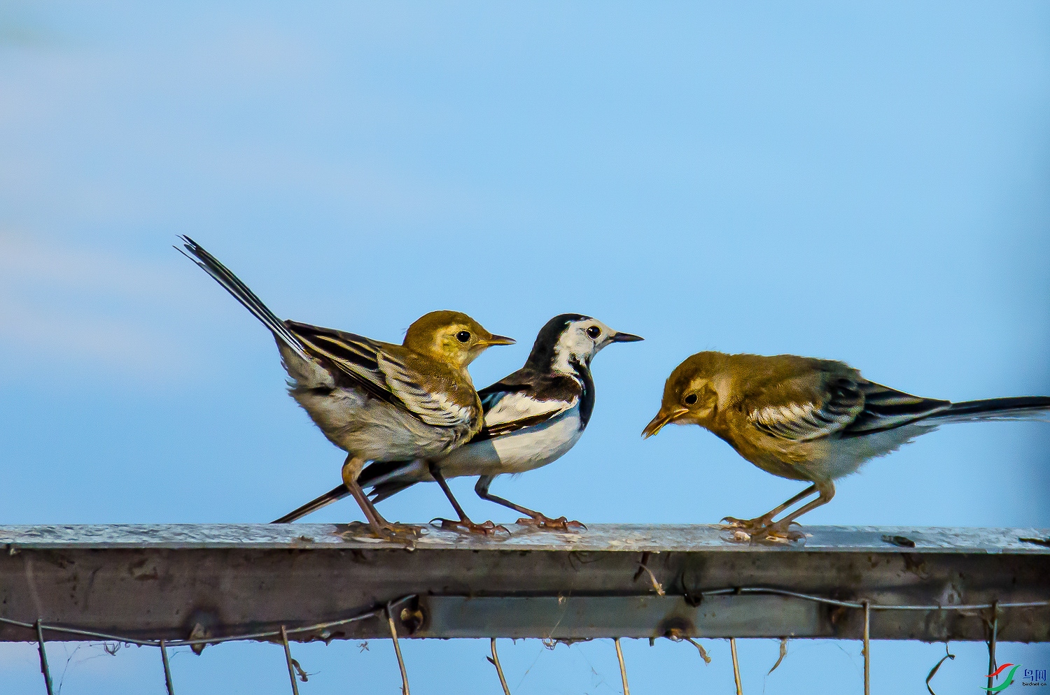 DSC_7560.jpg