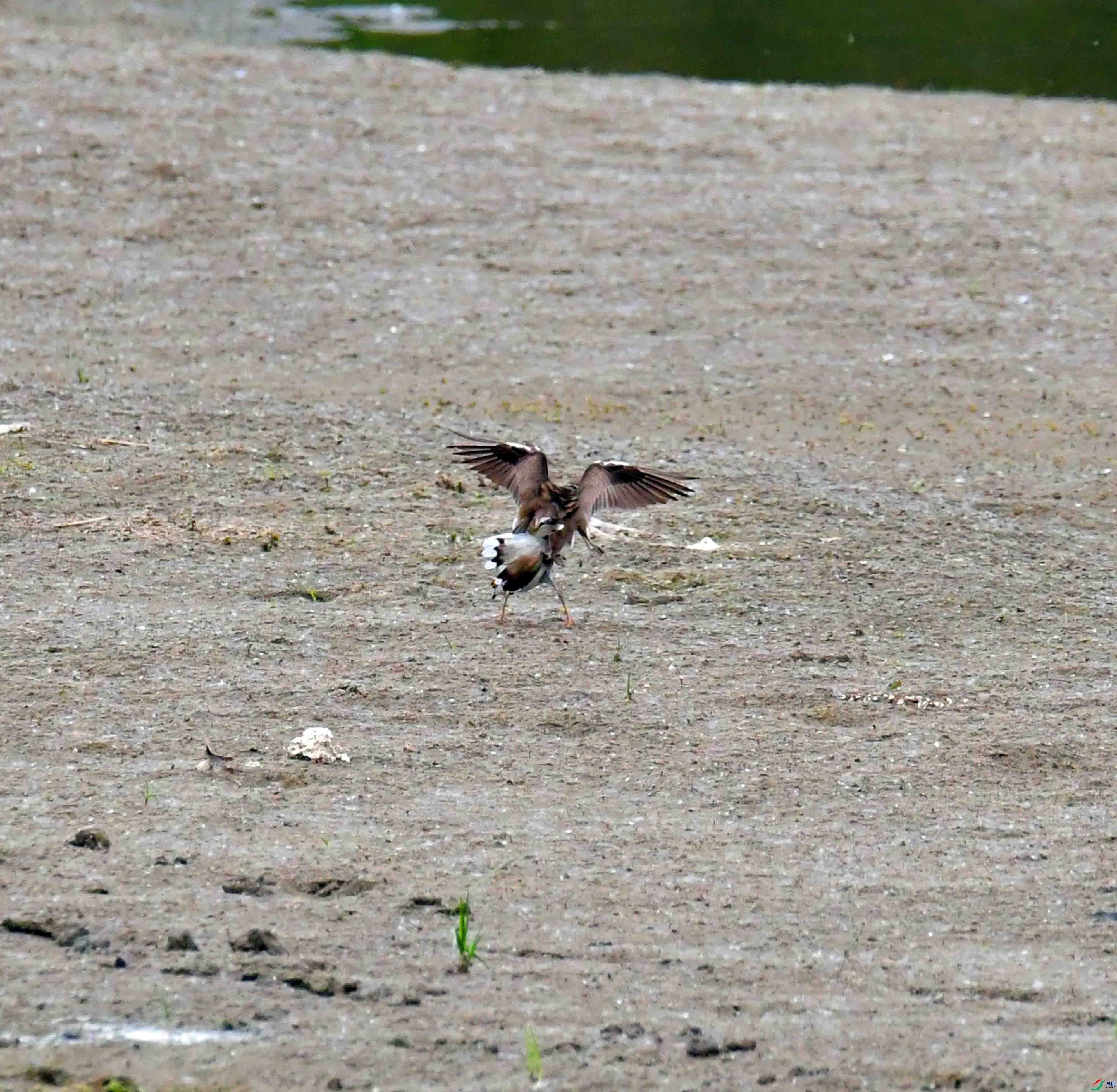 DSC_2876.JPG