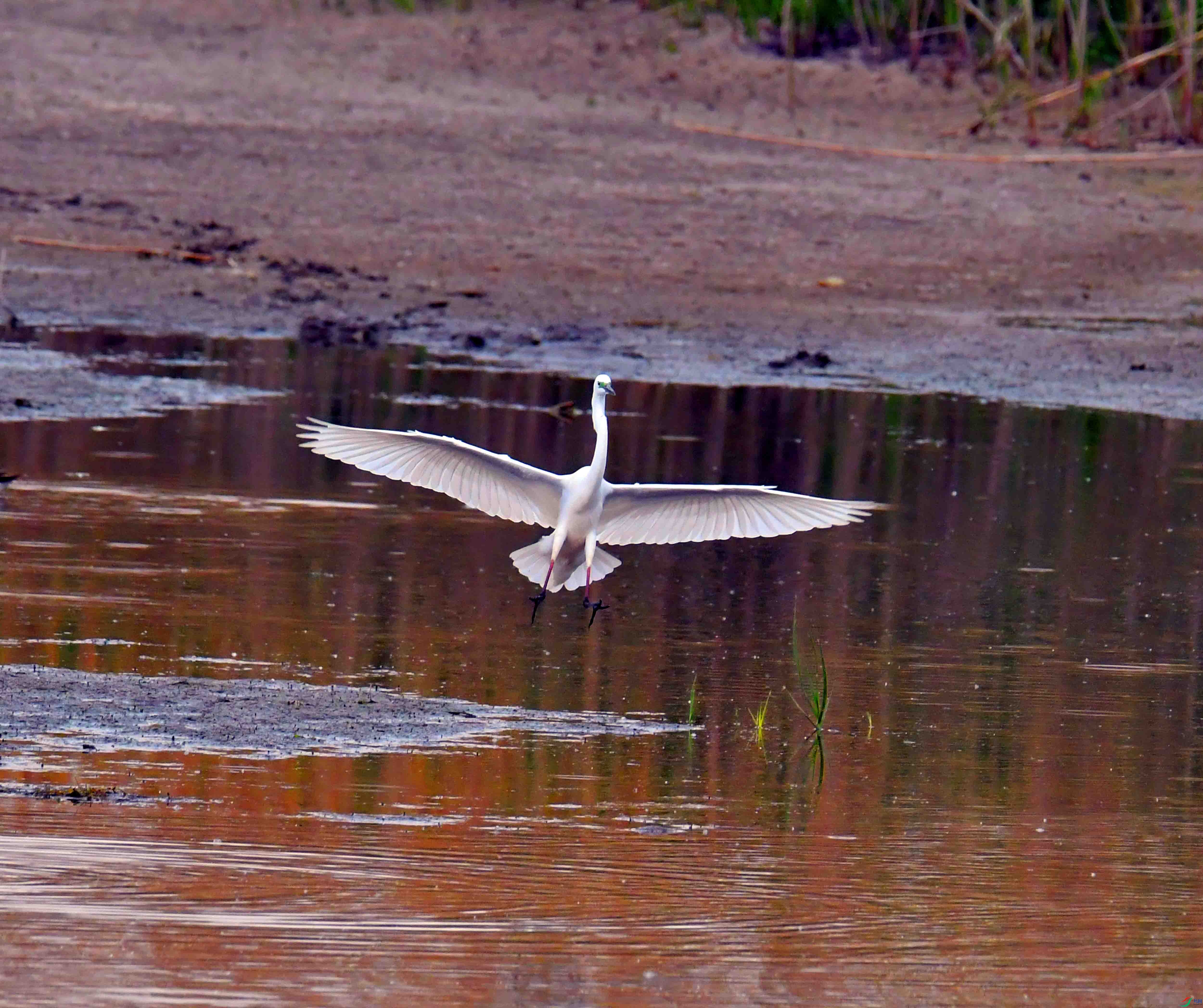 DSC_2996.JPG