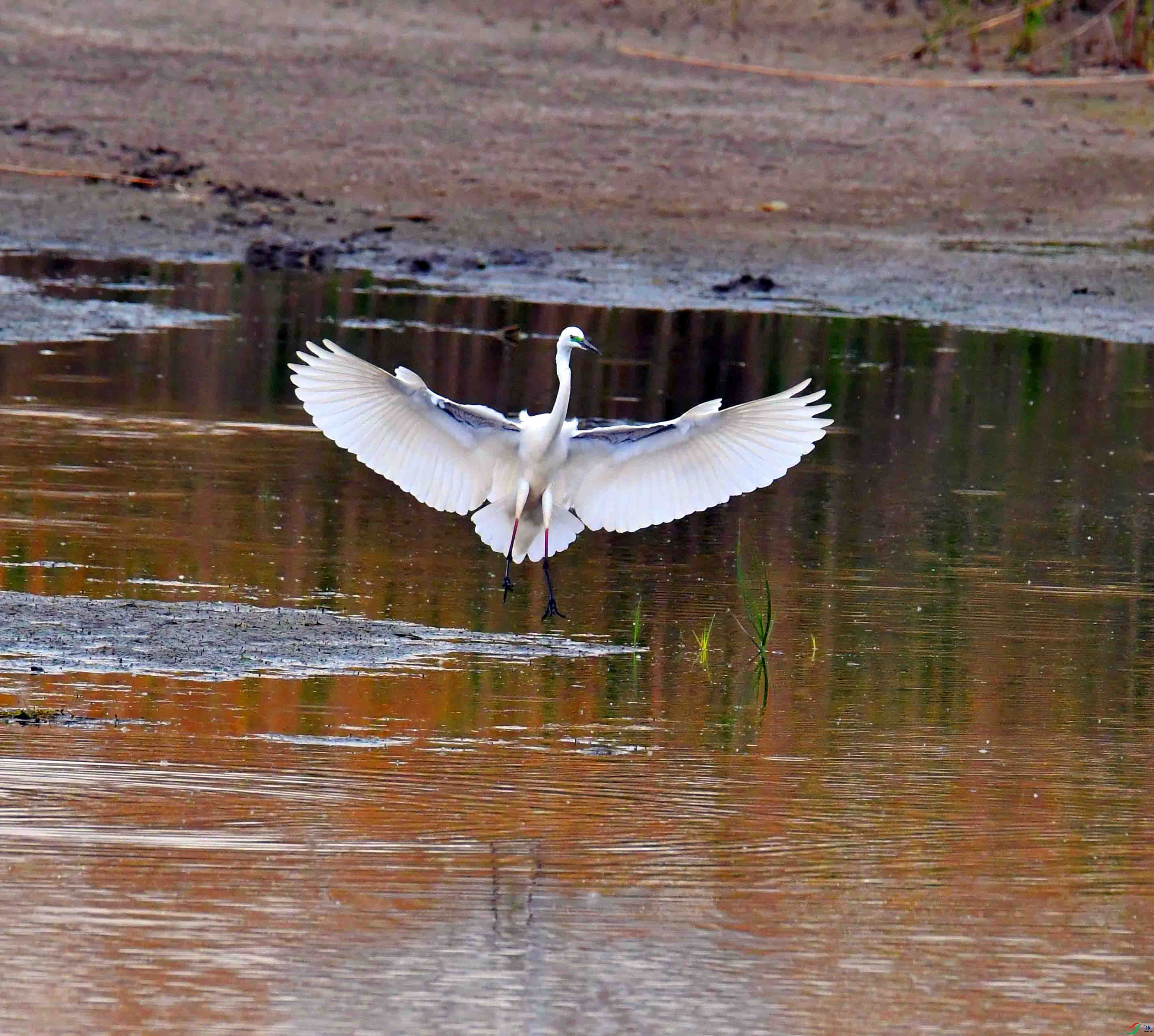 DSC_2997.JPG