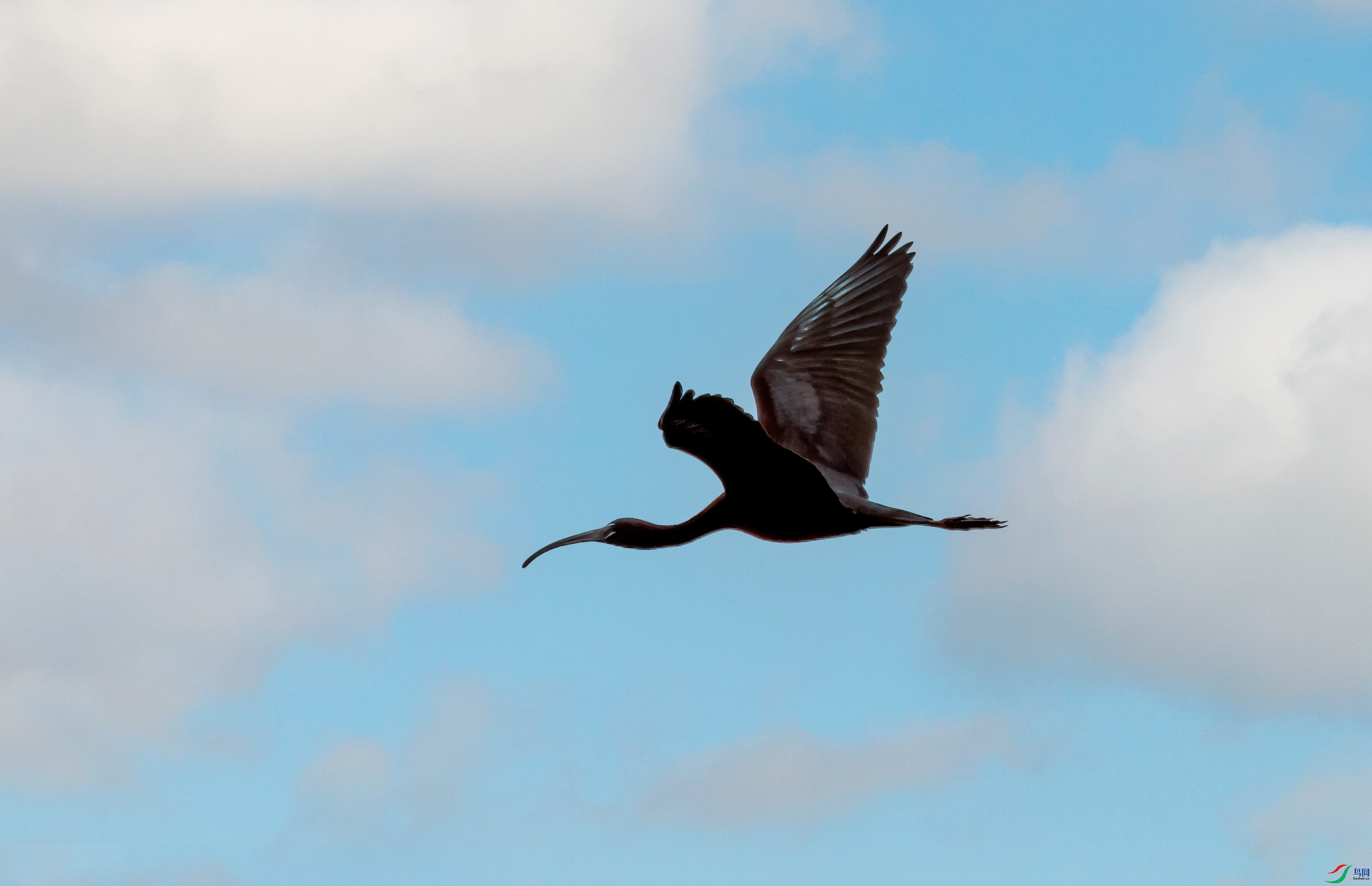 DSC_1135-11.jpg