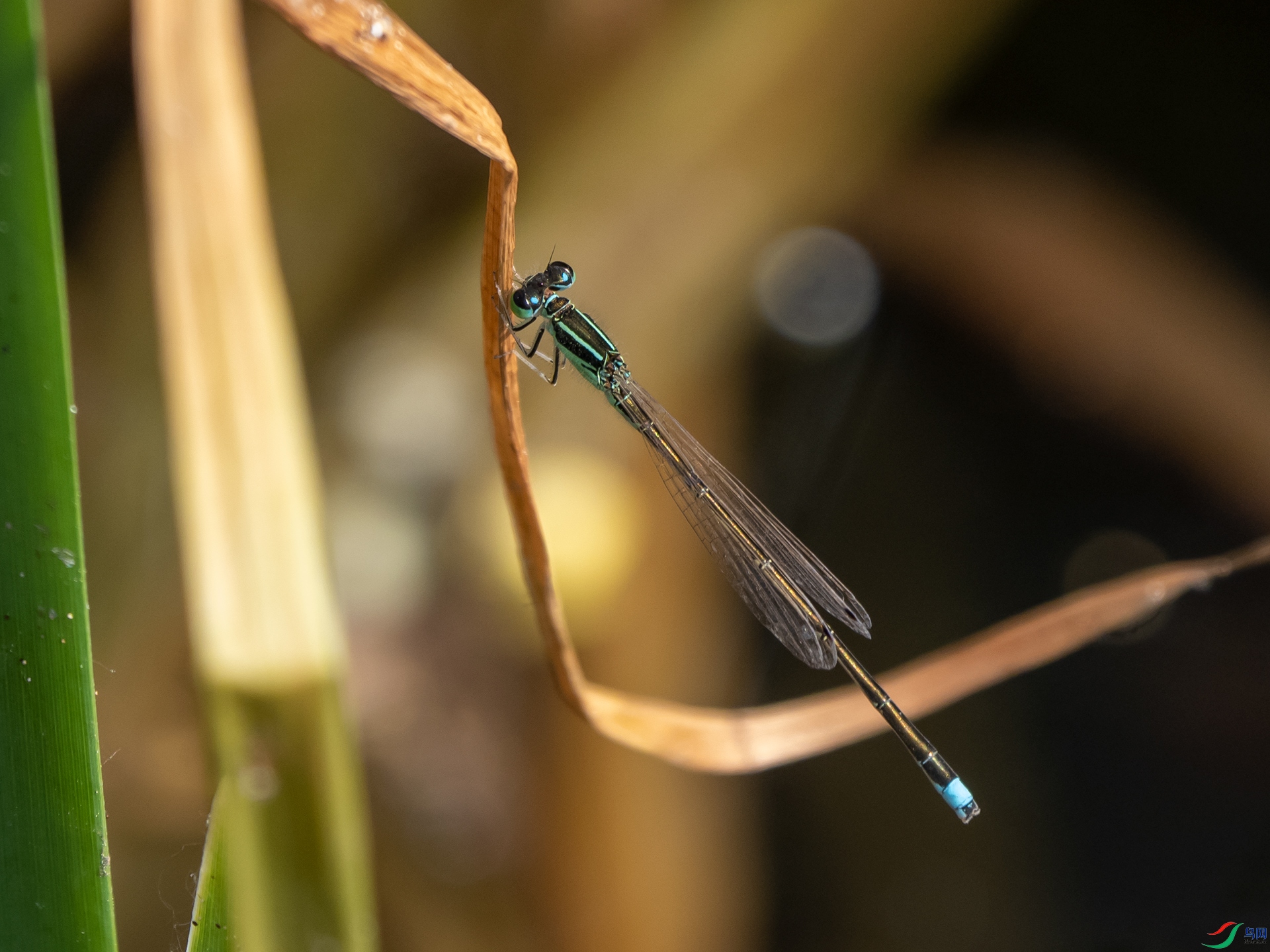 P4259162.jpg