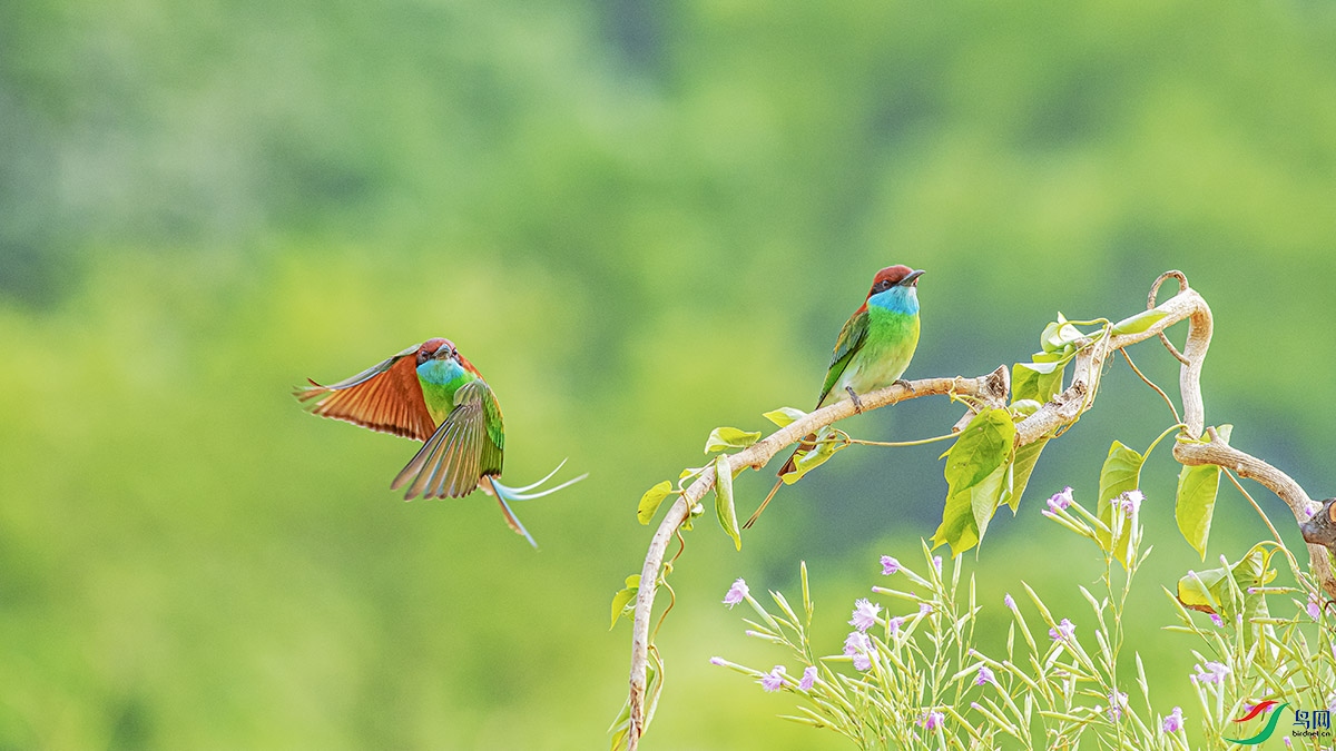 DSC_3926-����ǿ.jpg