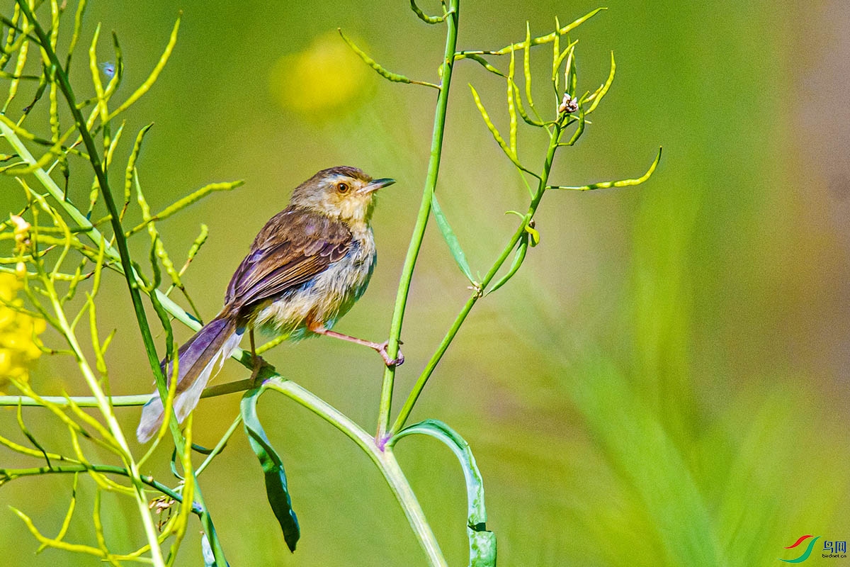DSC_0697.jpg