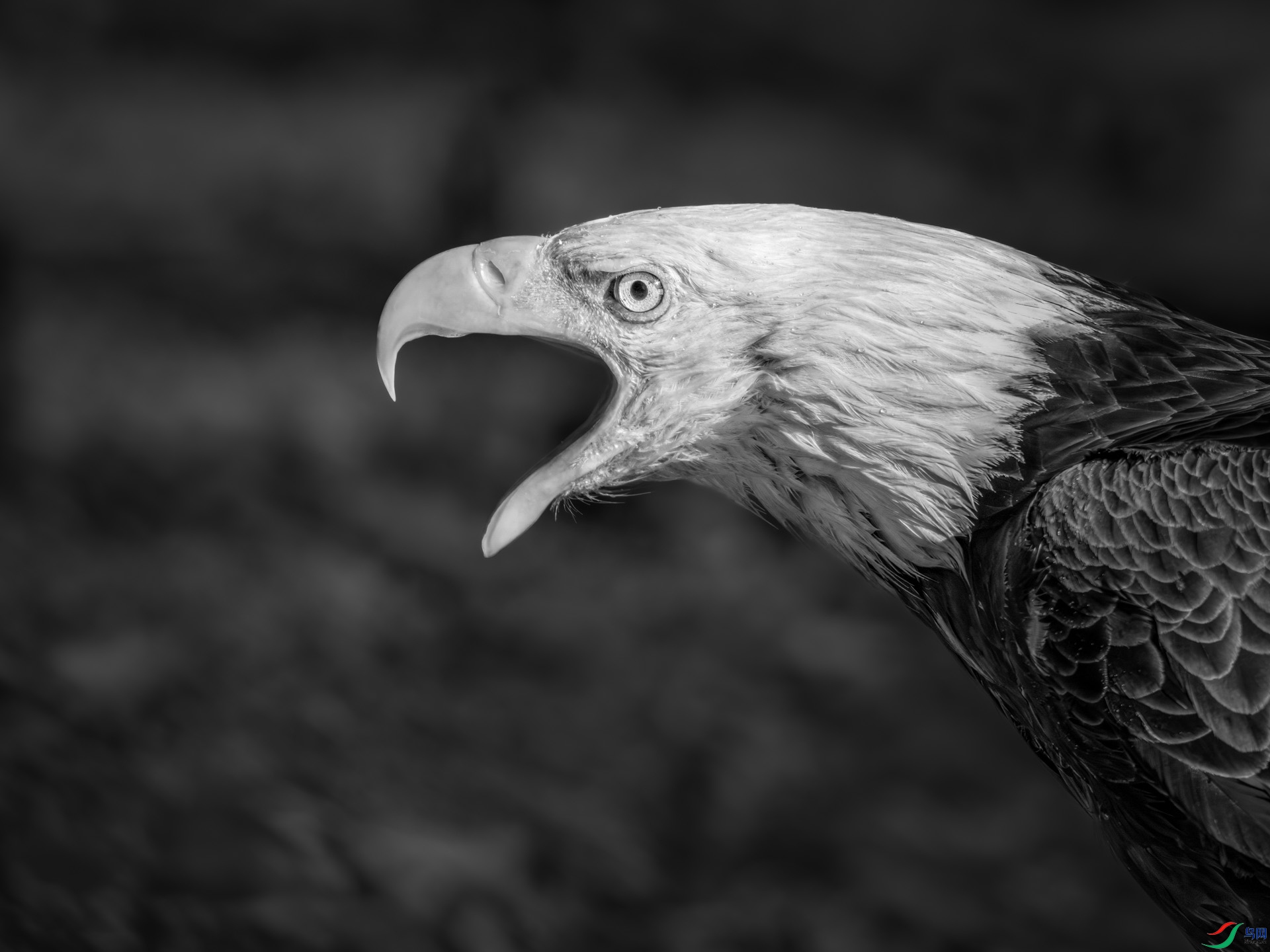 9I6A2998_1.jpg