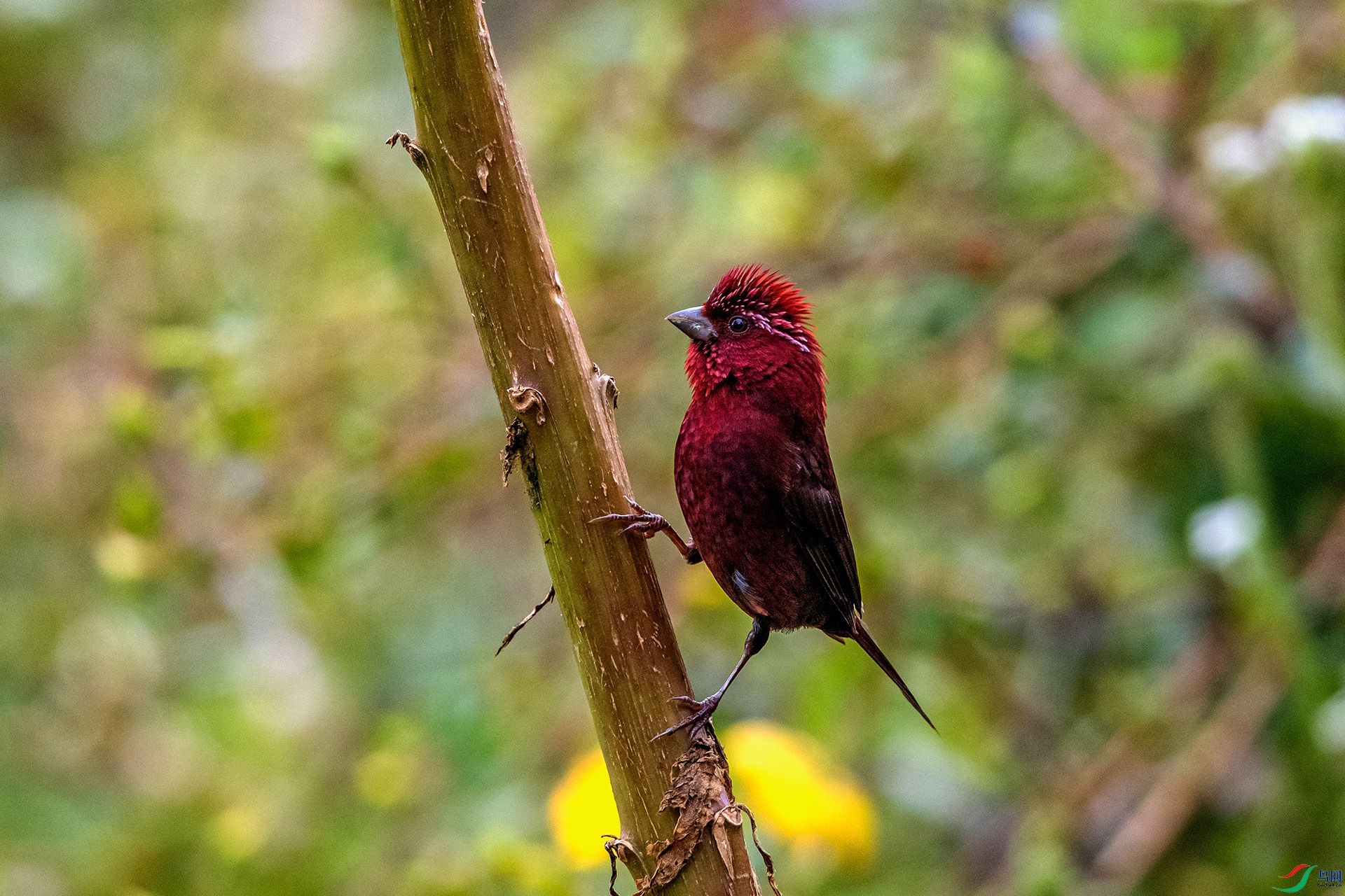 _AUU9413 �ƺ���ȸ(25.8.26).jpg